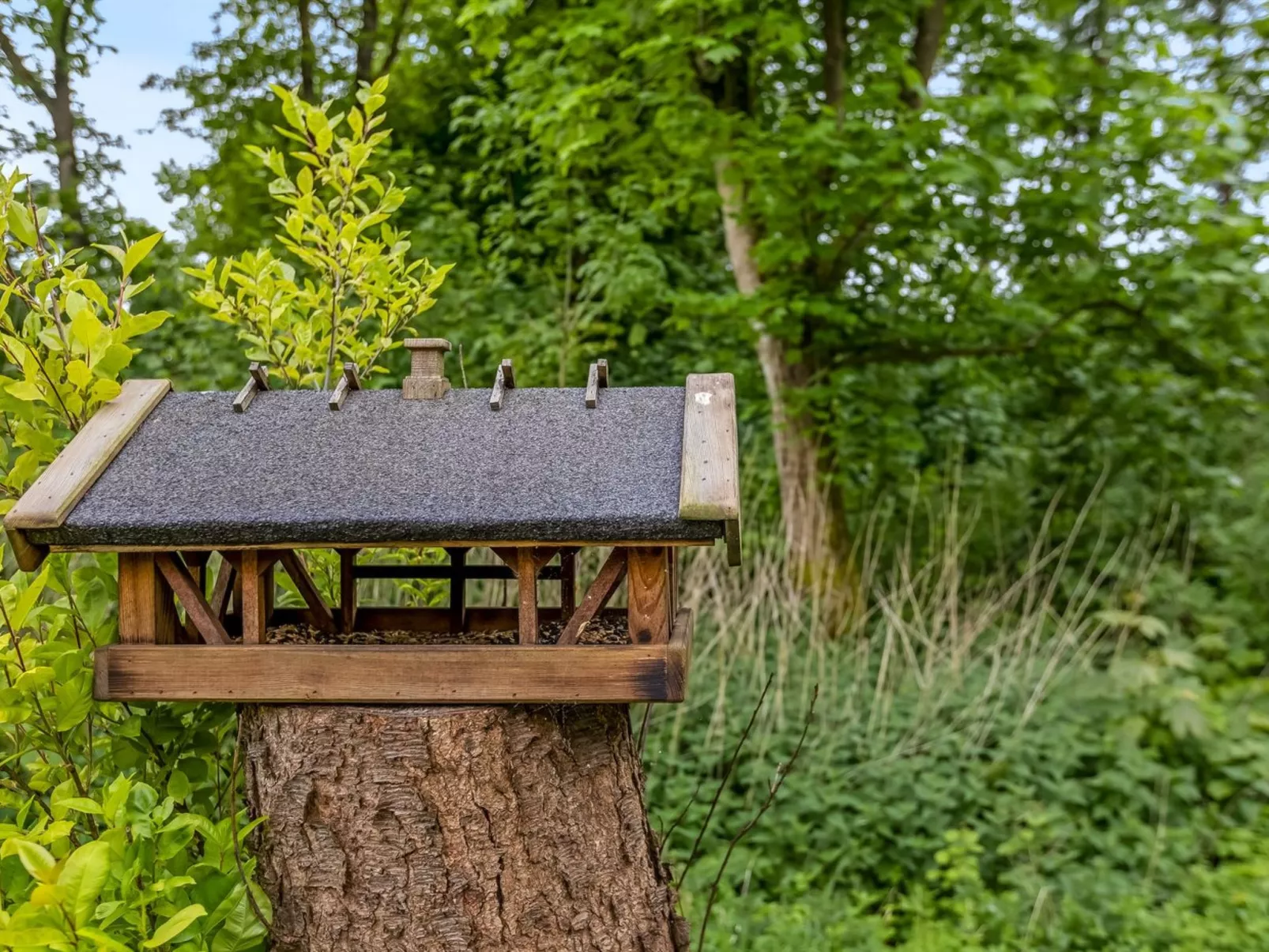 "Asulf" - 31km from the sea-Binnen