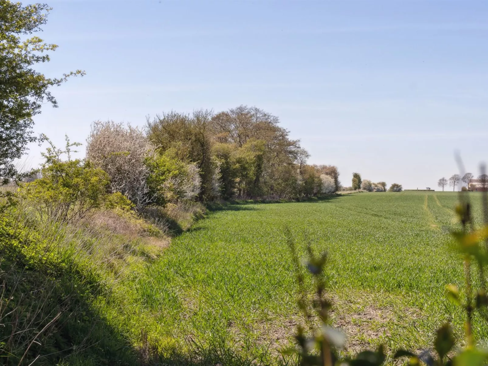 "Evamaria" - 350m from the sea-Buiten