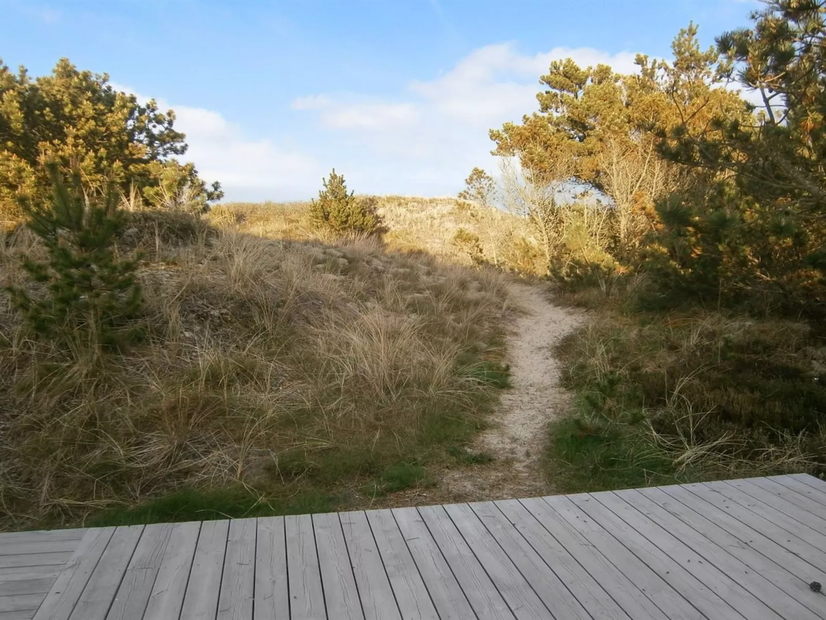 "Lewe" - 150m from the sea-Buiten