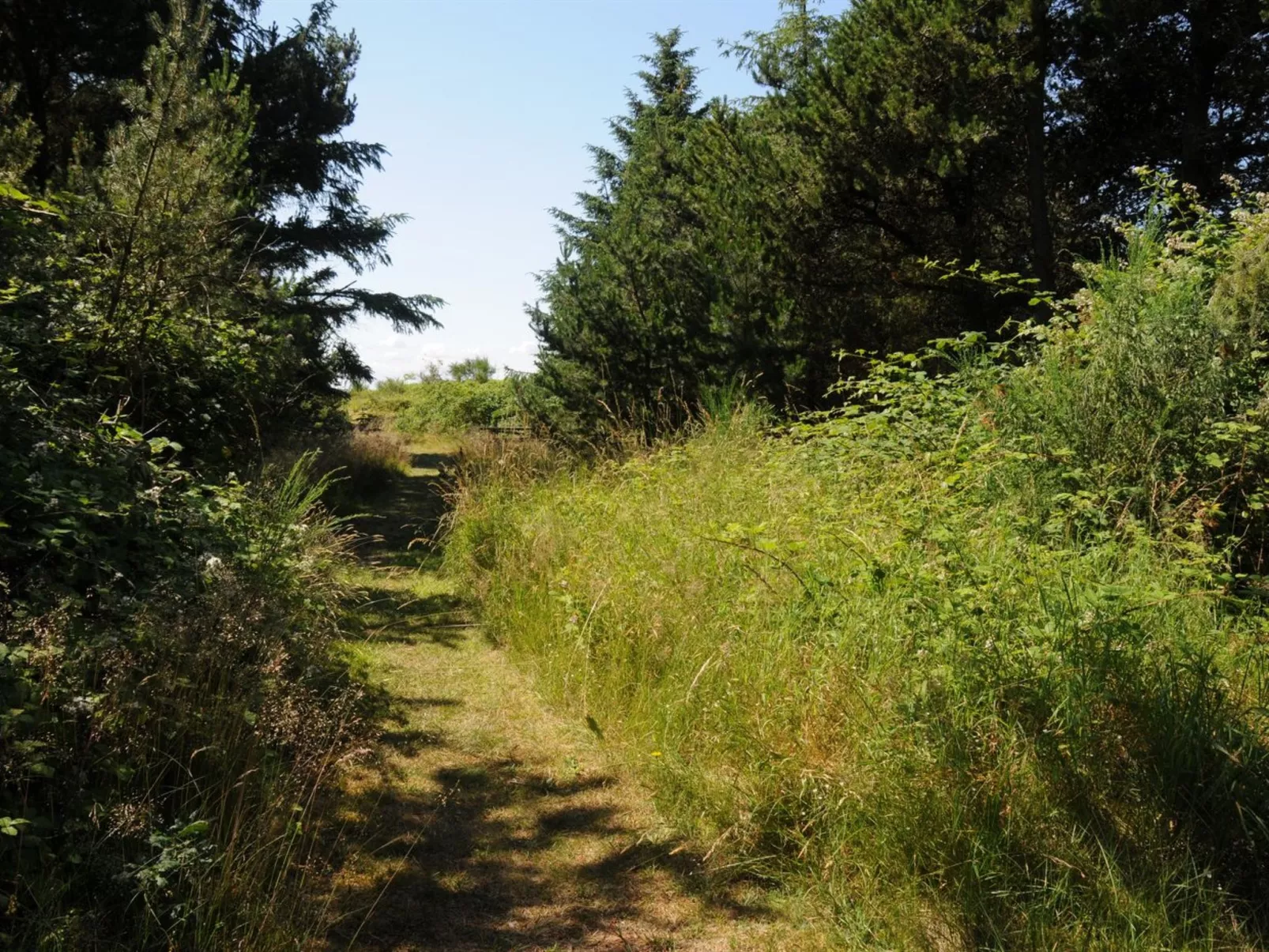 "Kalv" - 75m from the sea-Buiten