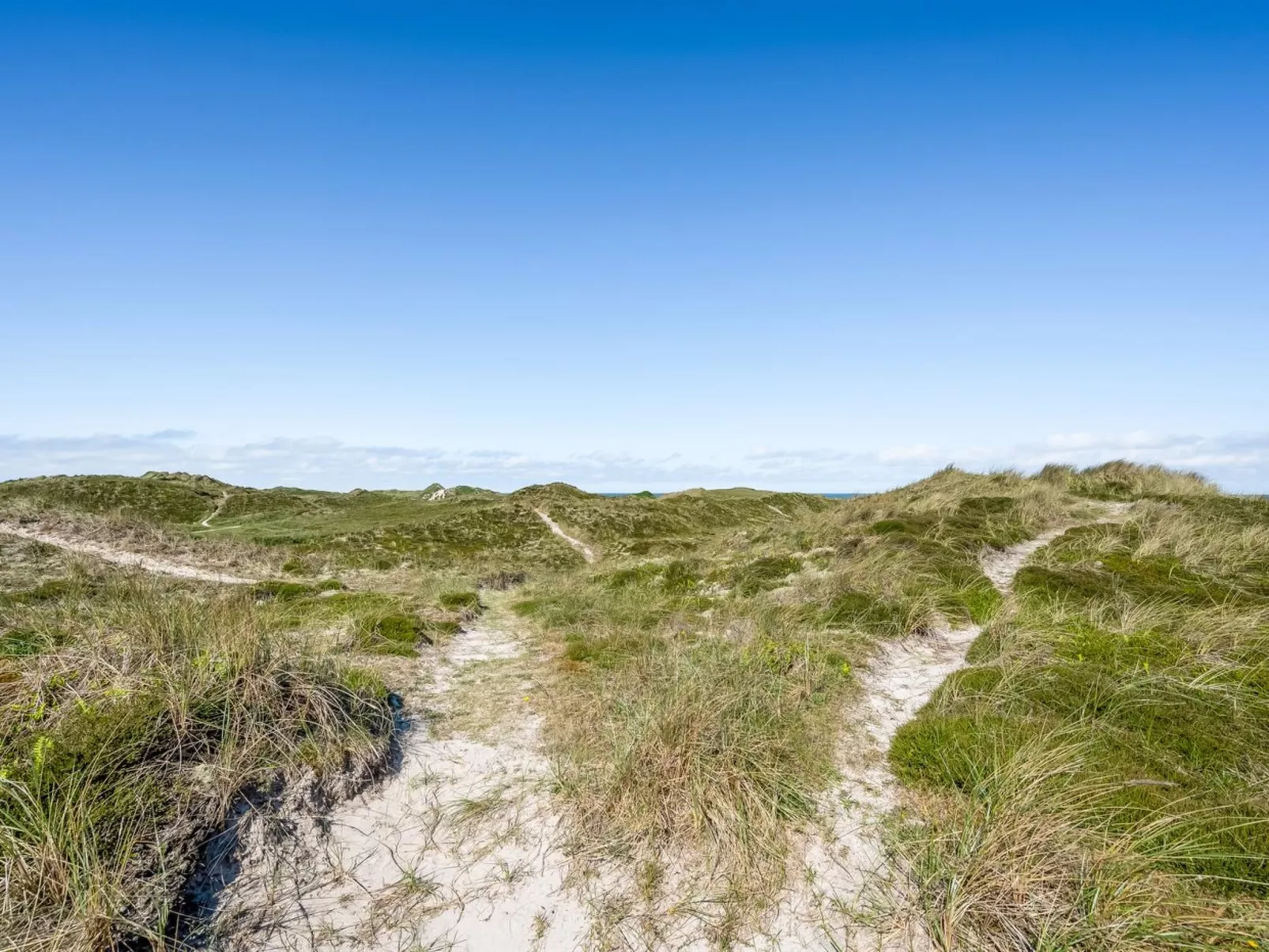 "Ewy" - 300m from the sea-Buiten