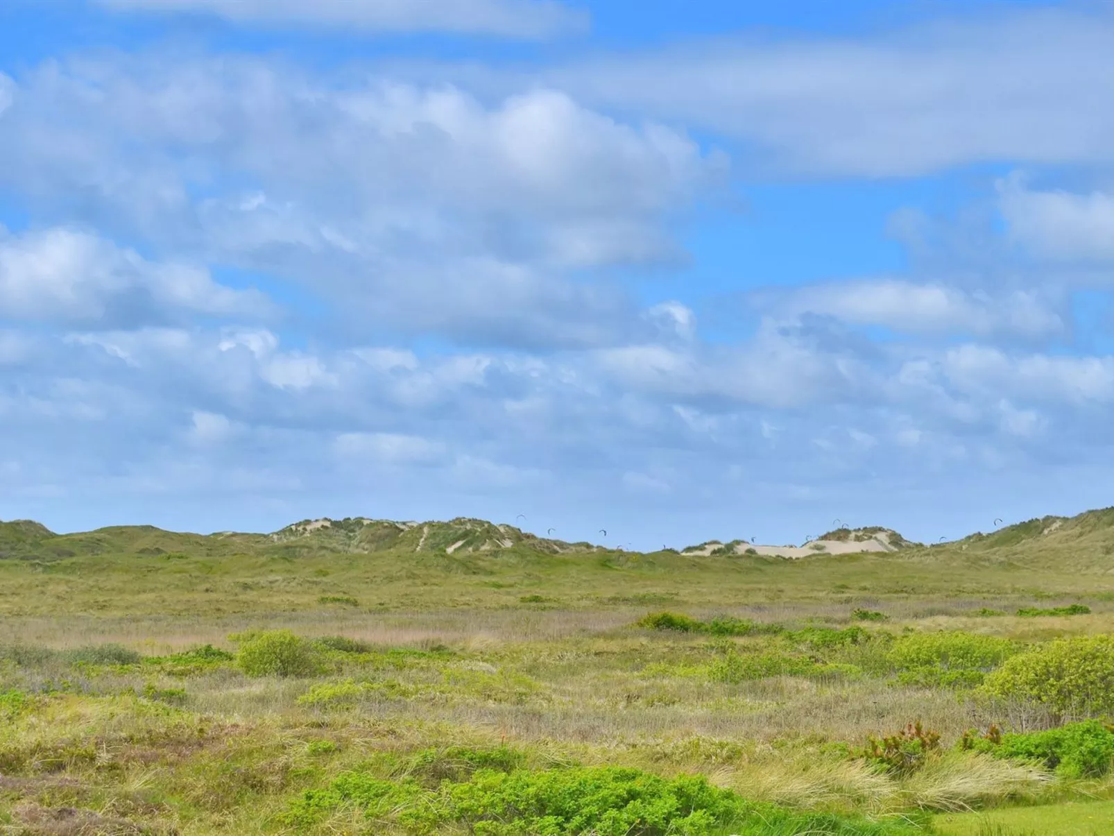 "Sohvi" - 450m from the sea-Buiten