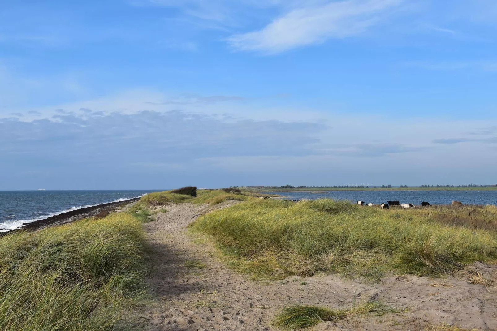 4 persoons vakantie huis in Rødby-By Traum-Waterzicht