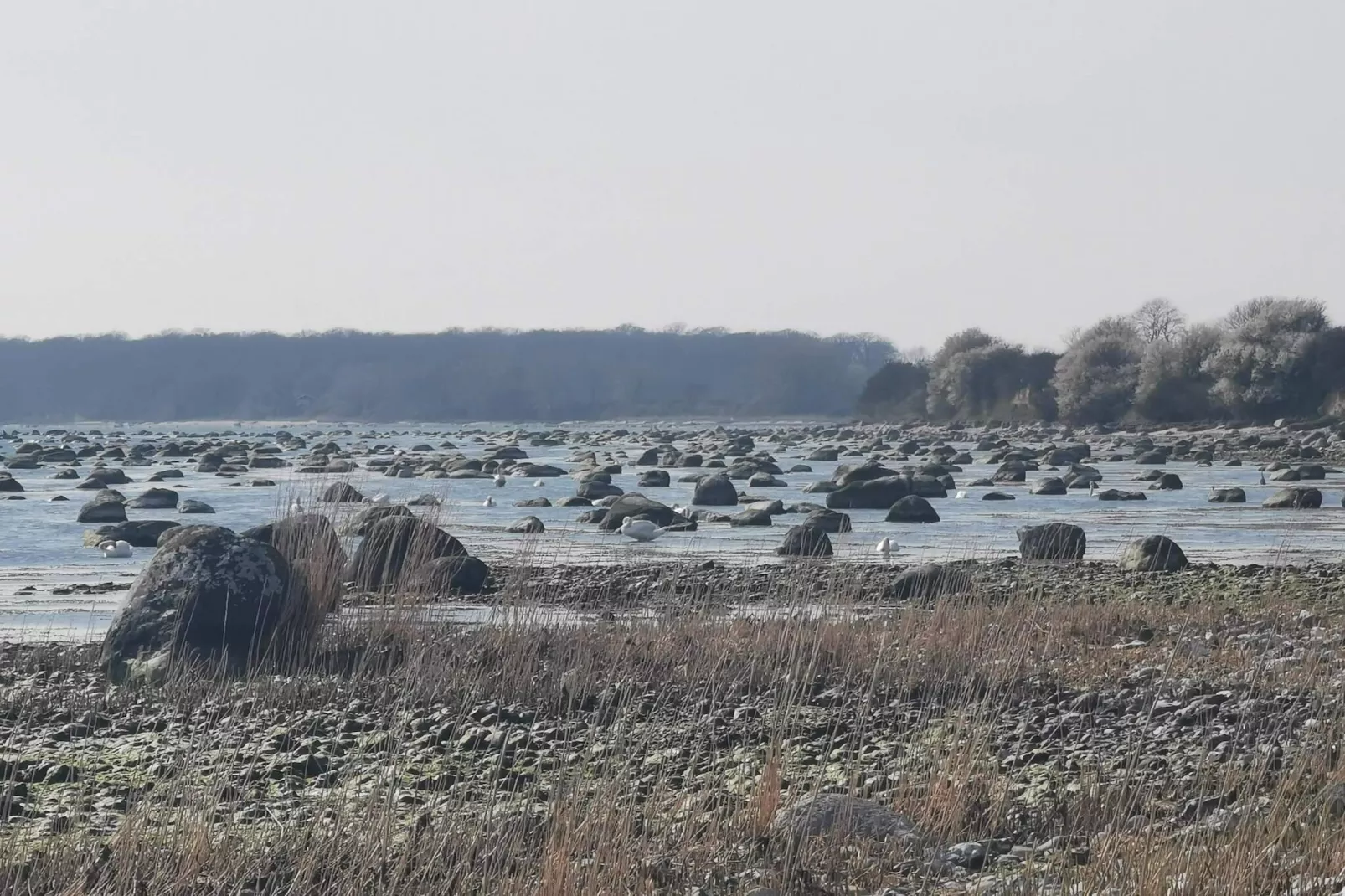 6 persoons vakantie huis in Rødvig Stevns-By Traum-Waterzicht