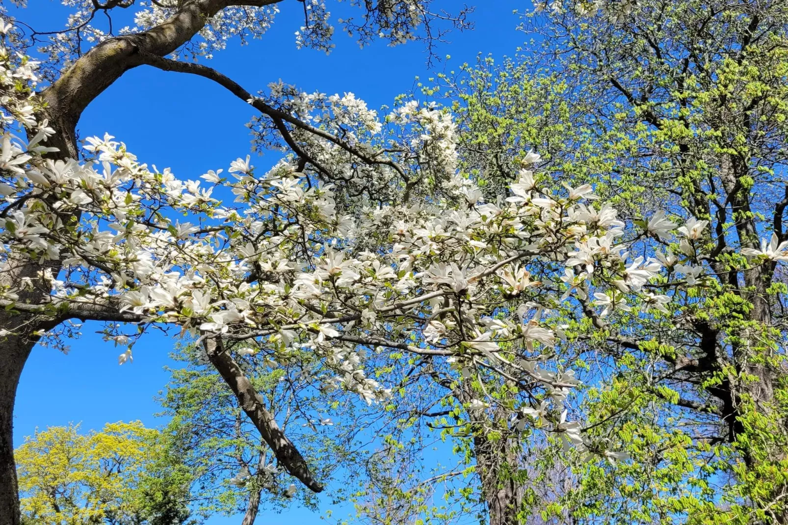 4 sterren vakantie huis in ENSKEDE-By Traum-Waterzicht