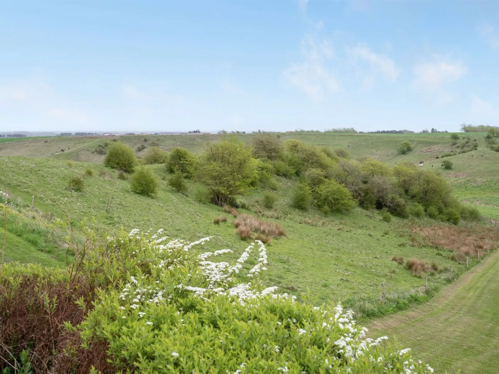 "Kiersten" - 5km from the sea-Buiten