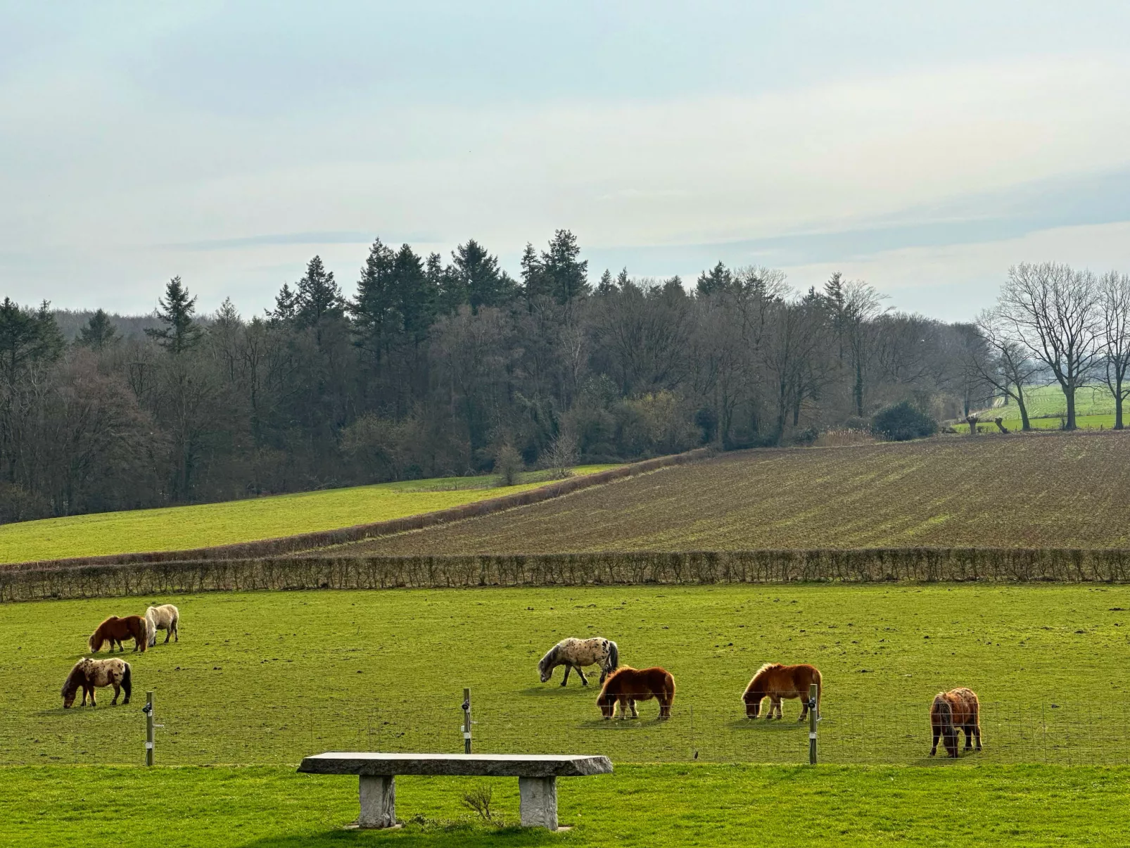 Bungalowpark Landsrade-Buiten