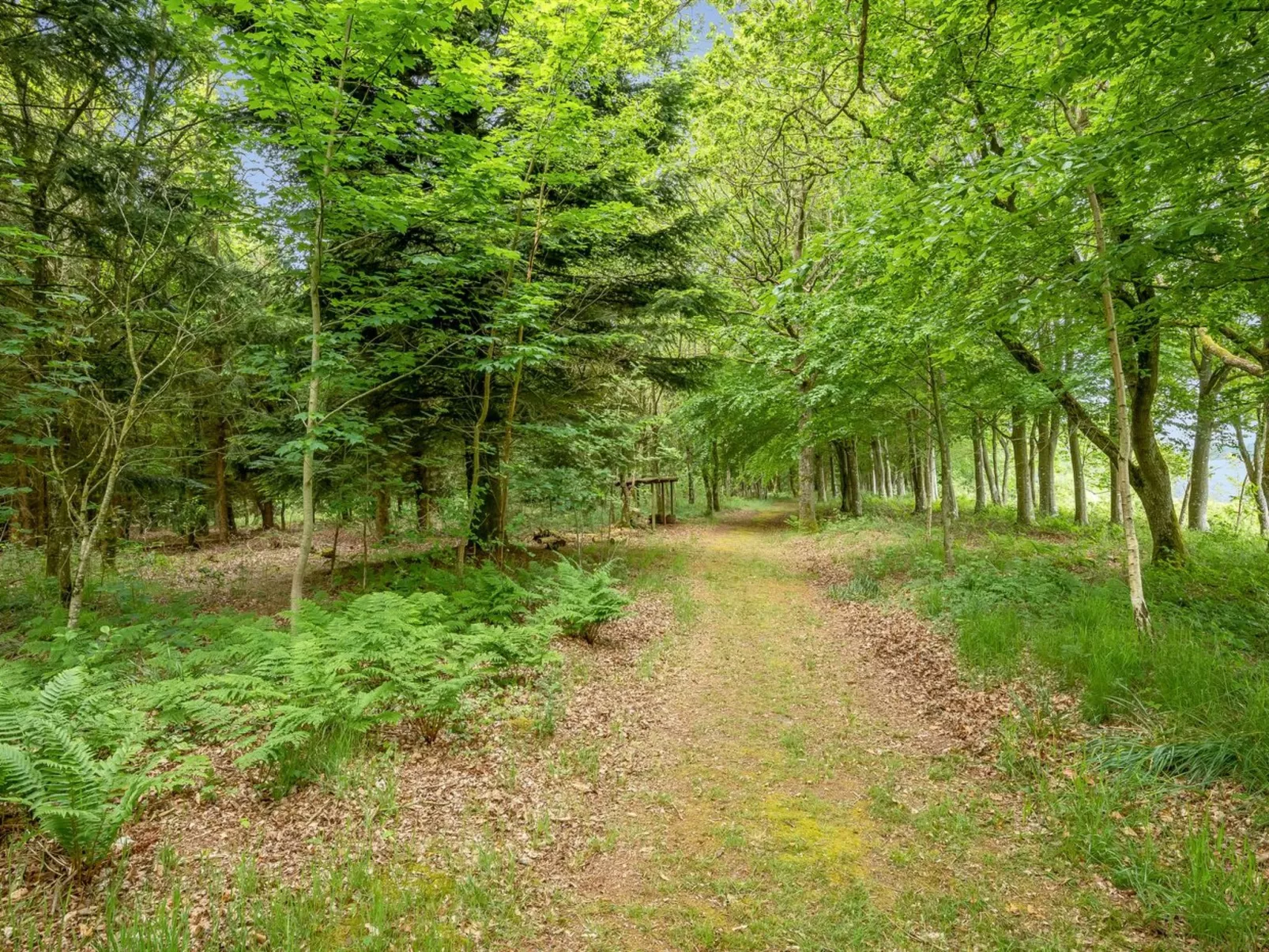 "Tatiane" - 10km from the sea-Buiten