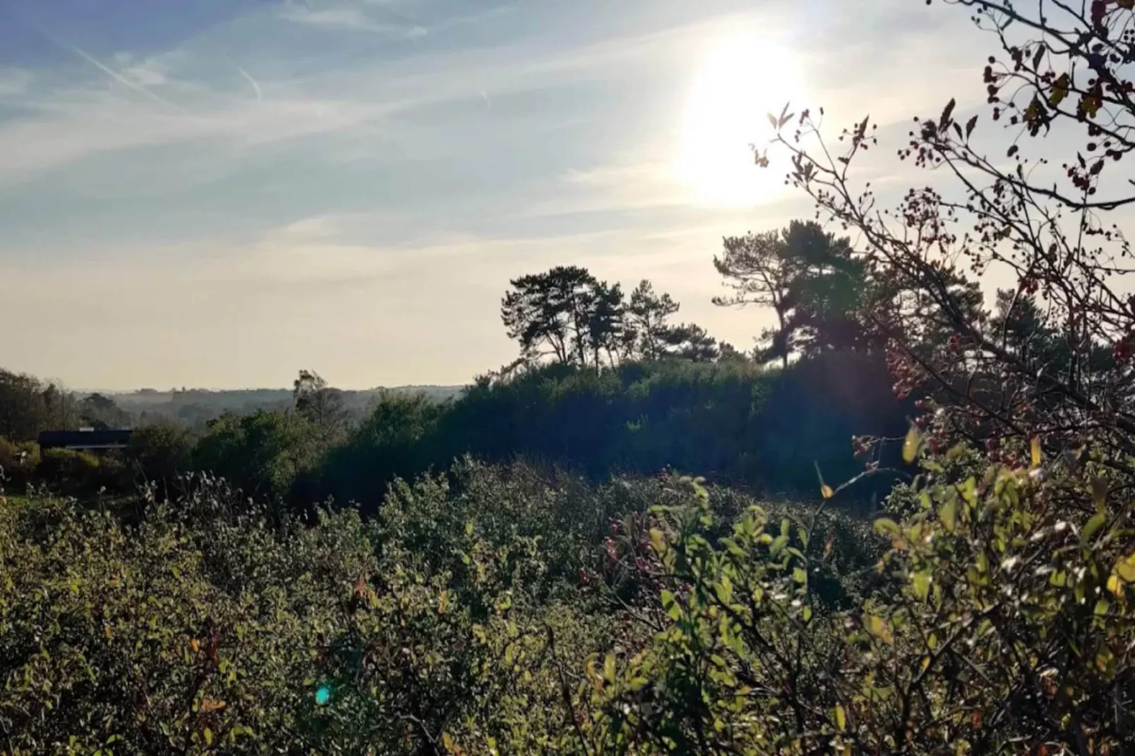 6 persoons vakantie huis in Nykøbing Sj-By Traum-Waterzicht