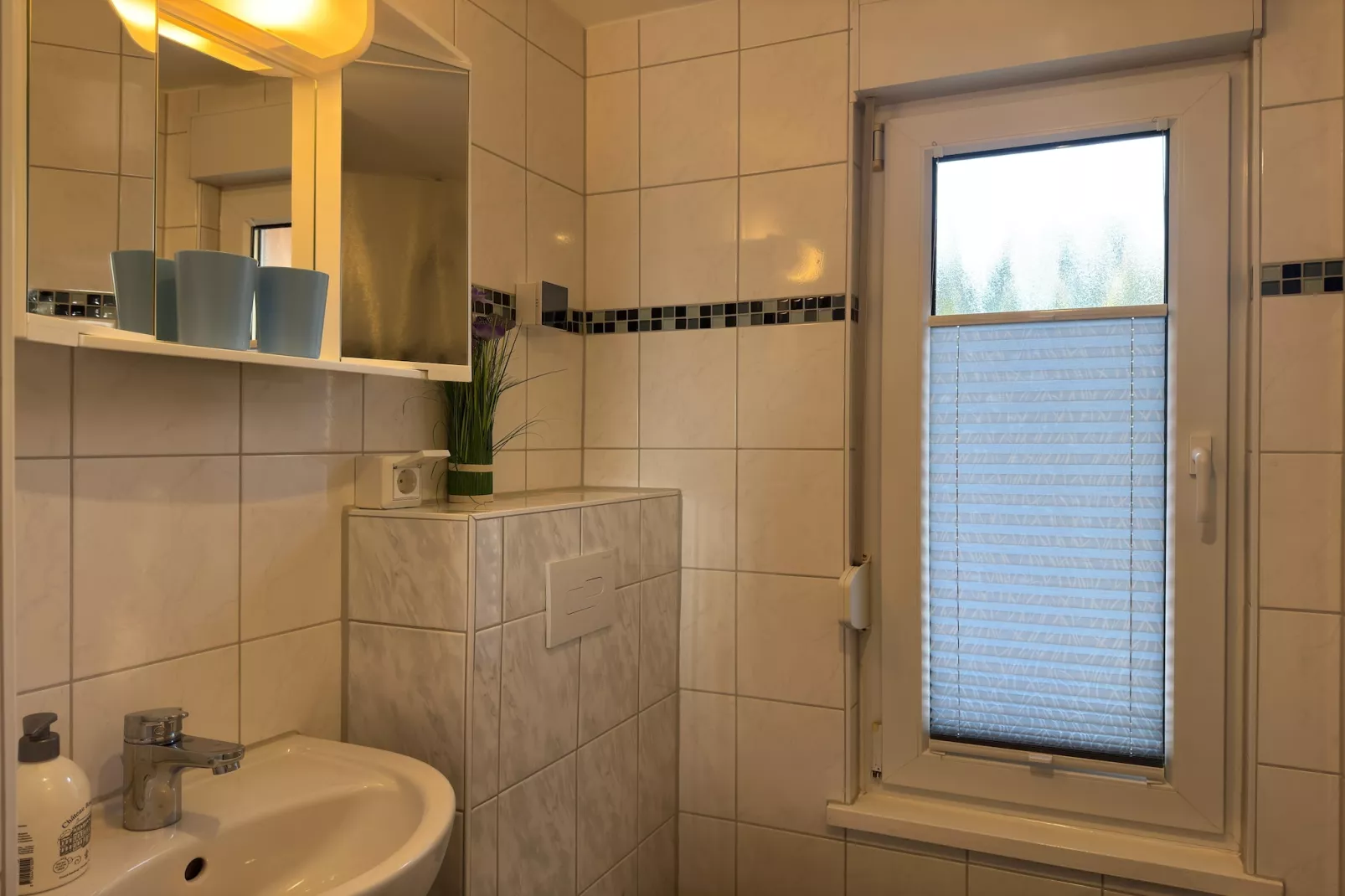 Meineckes Harzidyll Am Eichenberg II-Badkamer