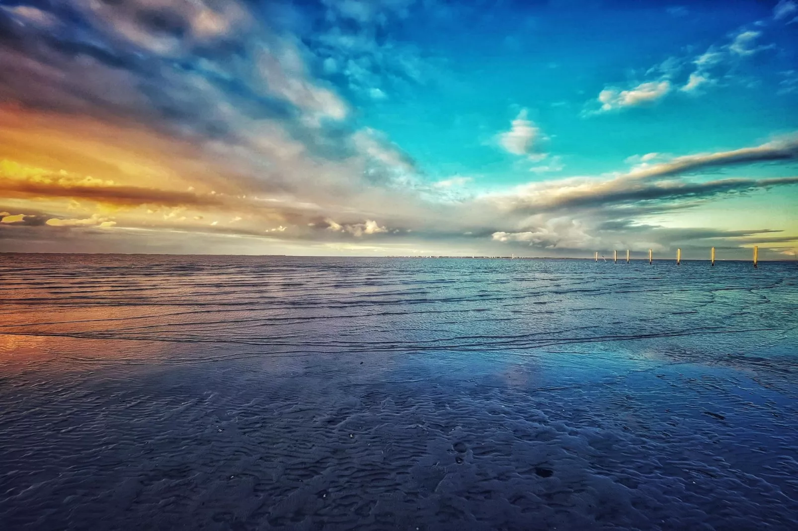 Doppelhaushälfte Nordseerose 125-Gebieden zomer 5km