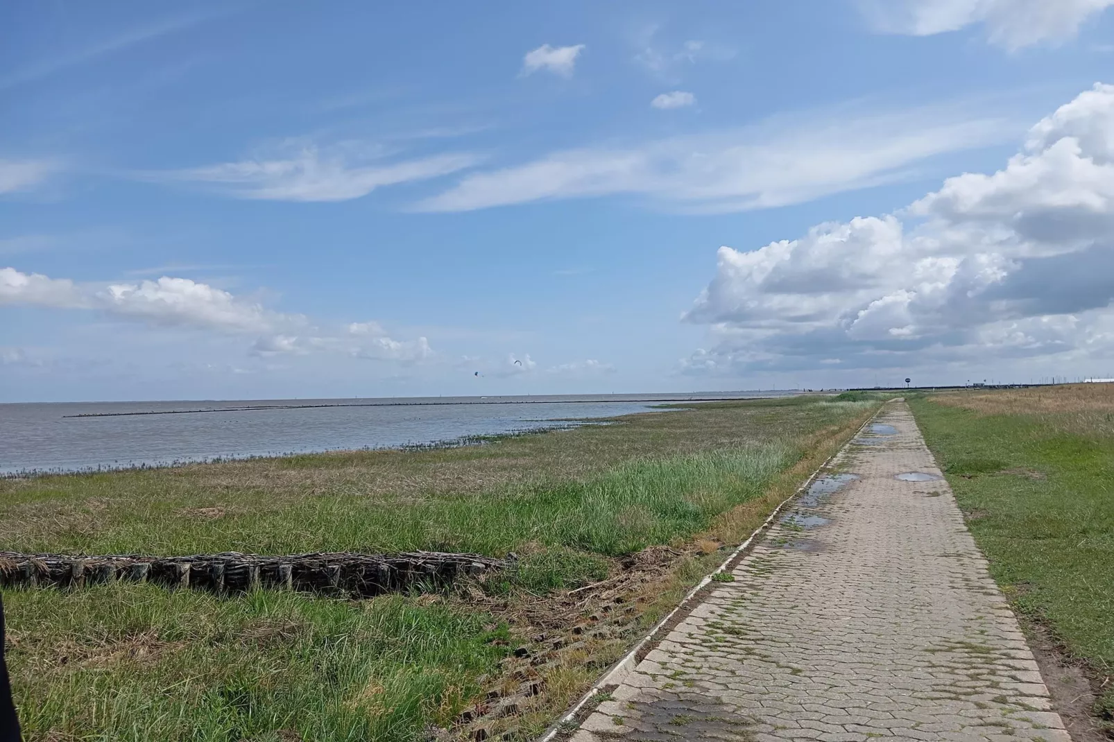 Doppelhaushälfte Wattwurm 34-Gebieden zomer 5km