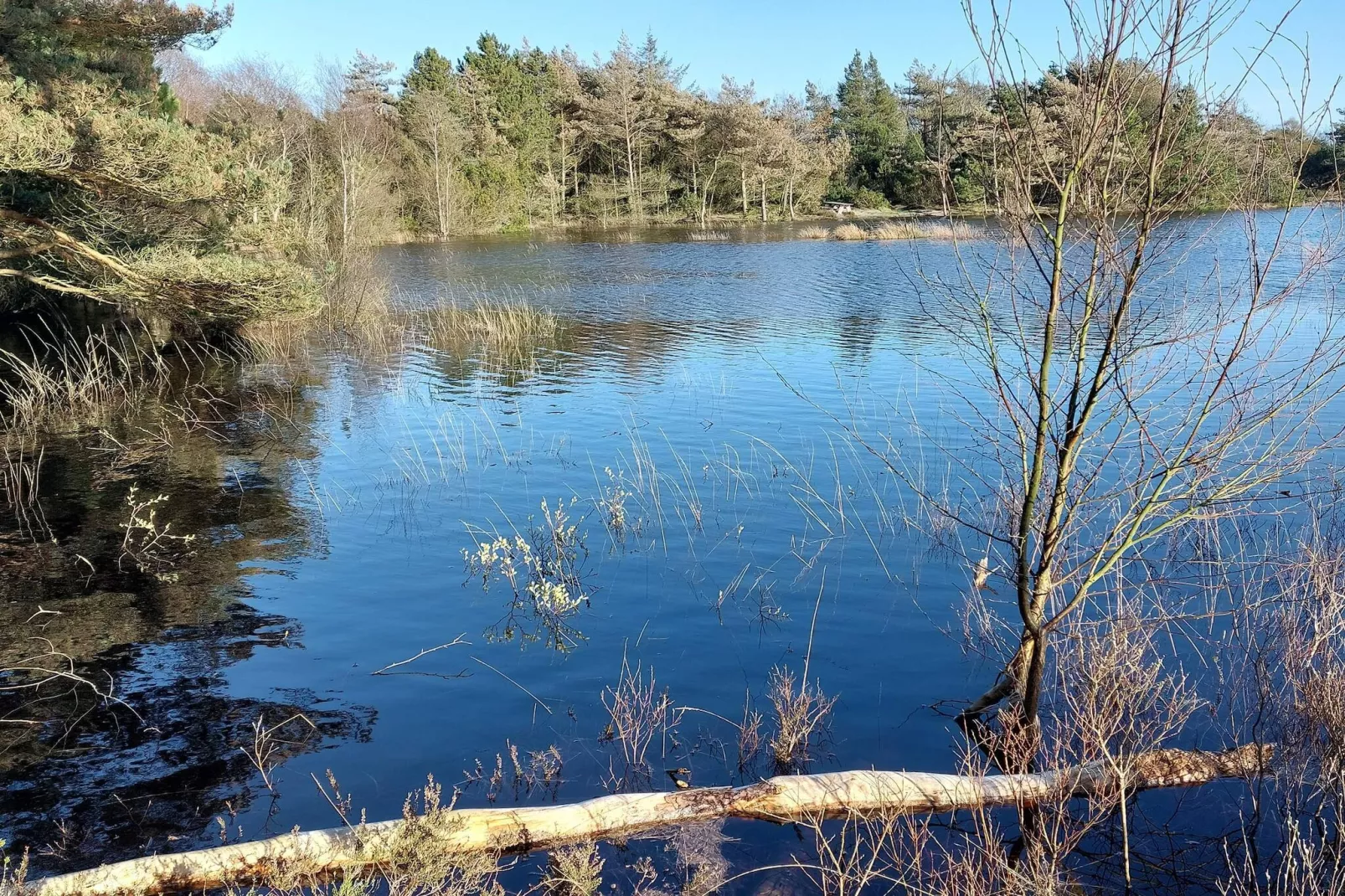 5 sterren vakantie huis in Rømø-Waterzicht