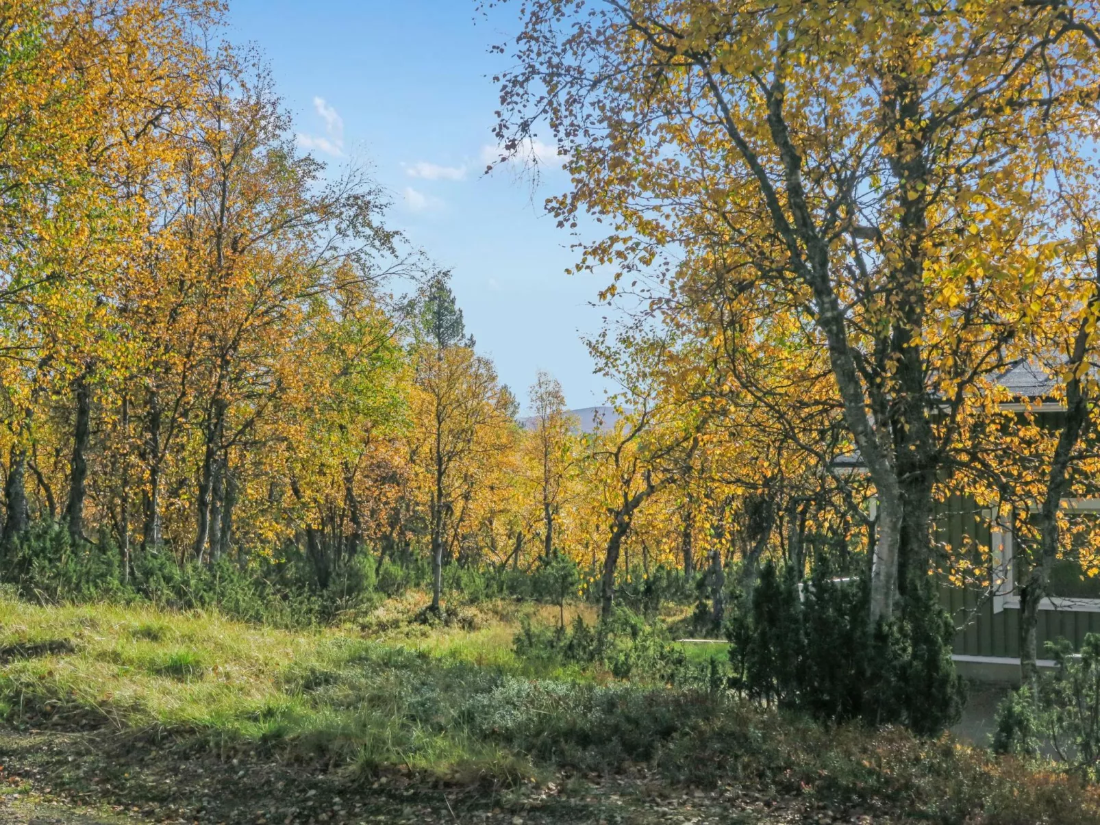 Siularinne b9-Binnen