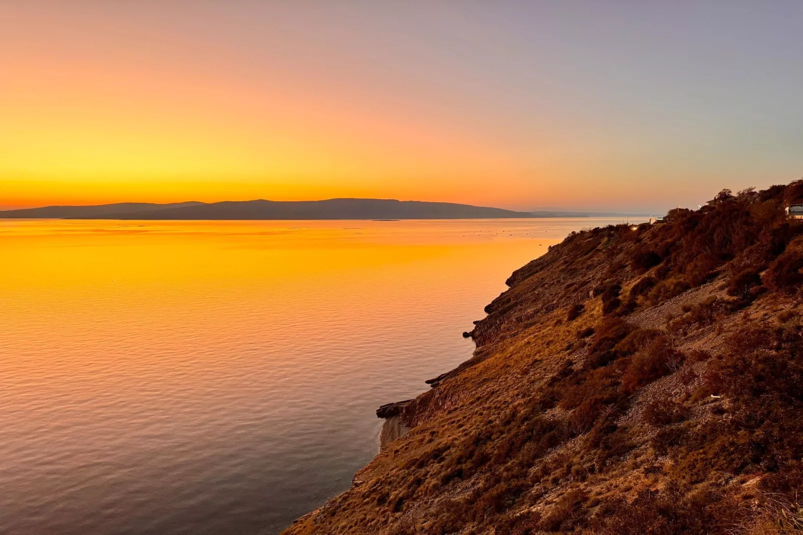Niko 3-Gebieden zomer 1km