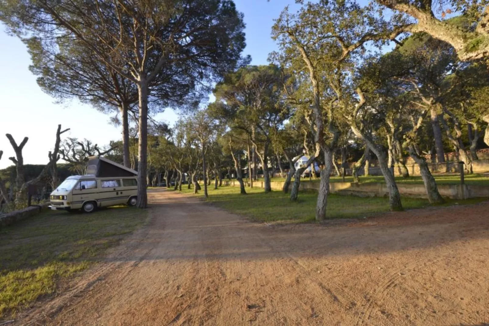 Illa 23-Gebieden zomer 20km