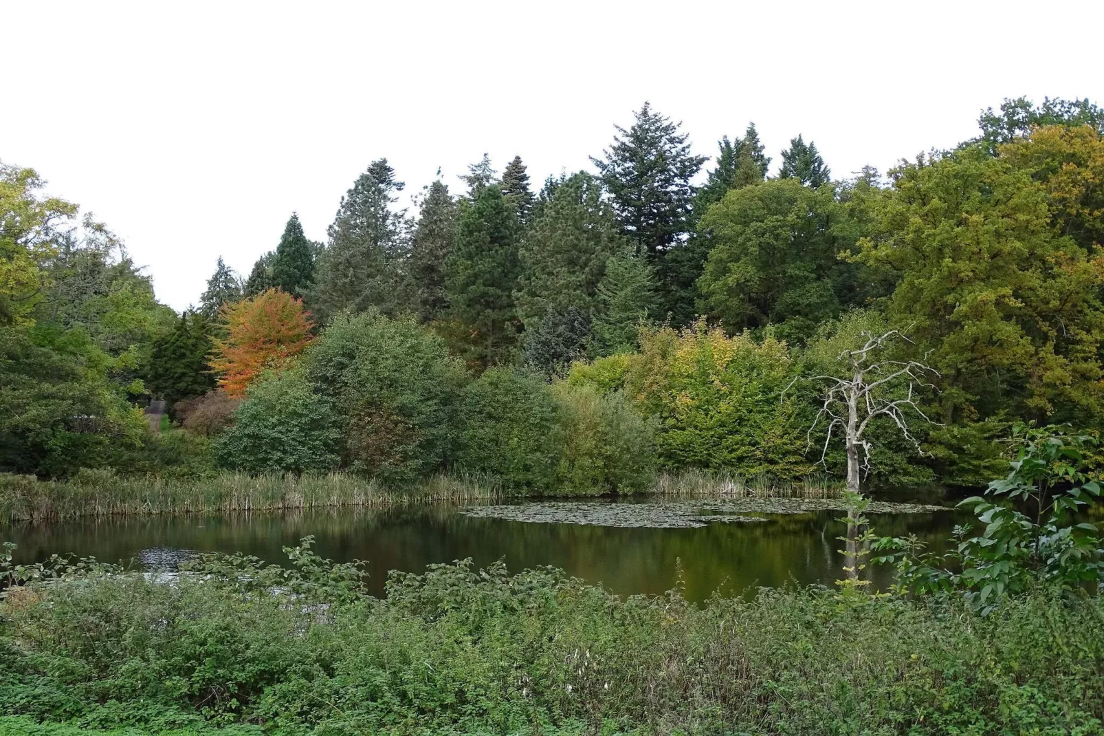 4 sterren vakantie huis in Vedbæk