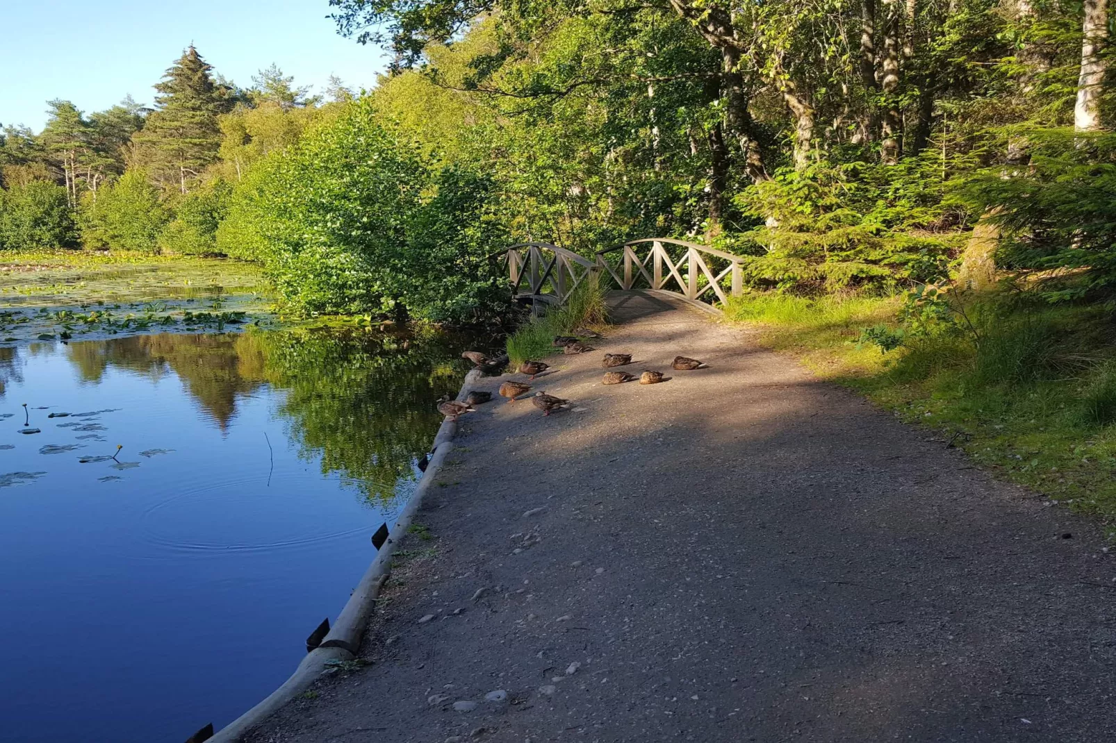5 sterren vakantie huis in Løkken-Waterzicht