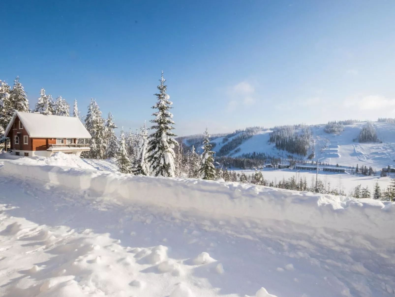 Alppikylä 1b paritalo-Binnen