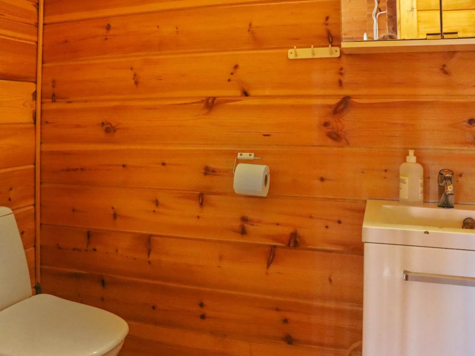 Alppitalo mökki-Binnen