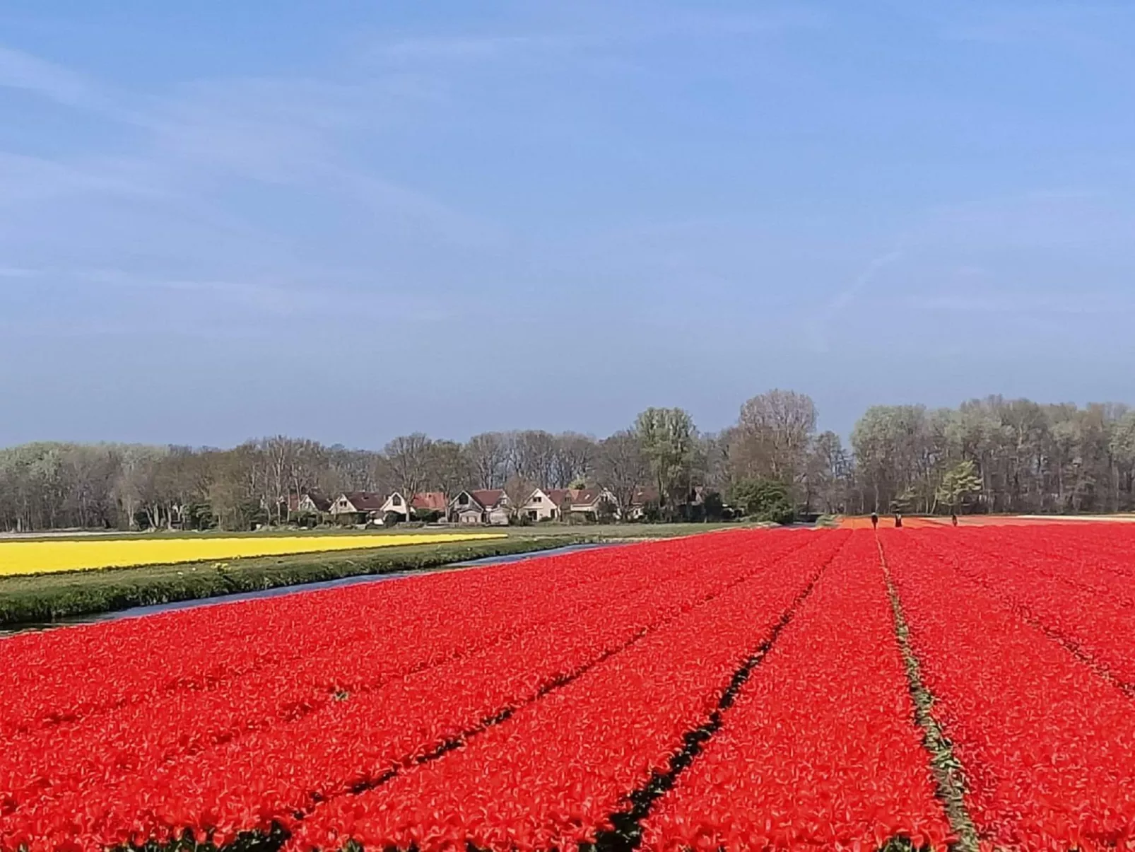 Stern Comfort-Buiten