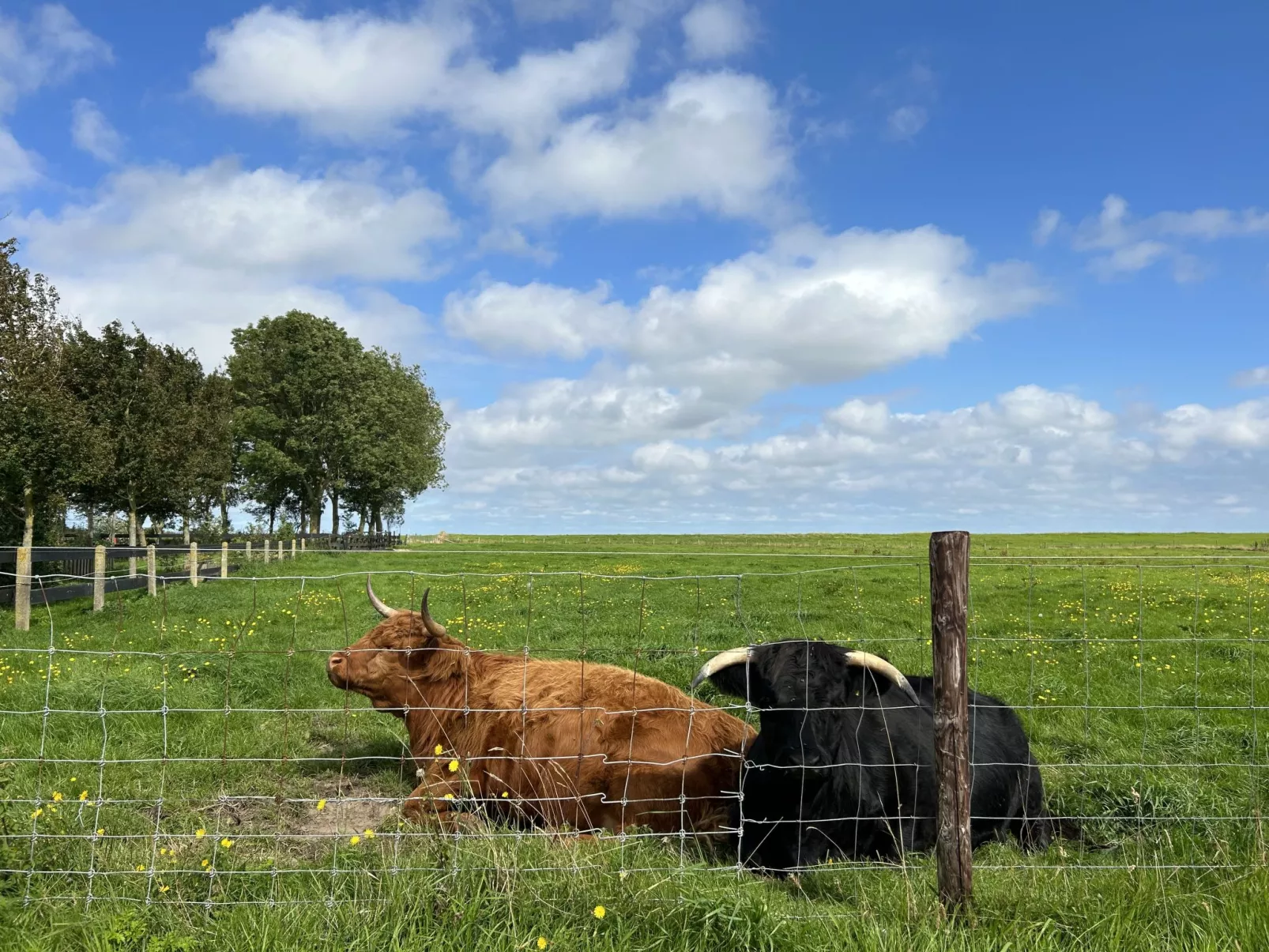 De Wierde-Buiten