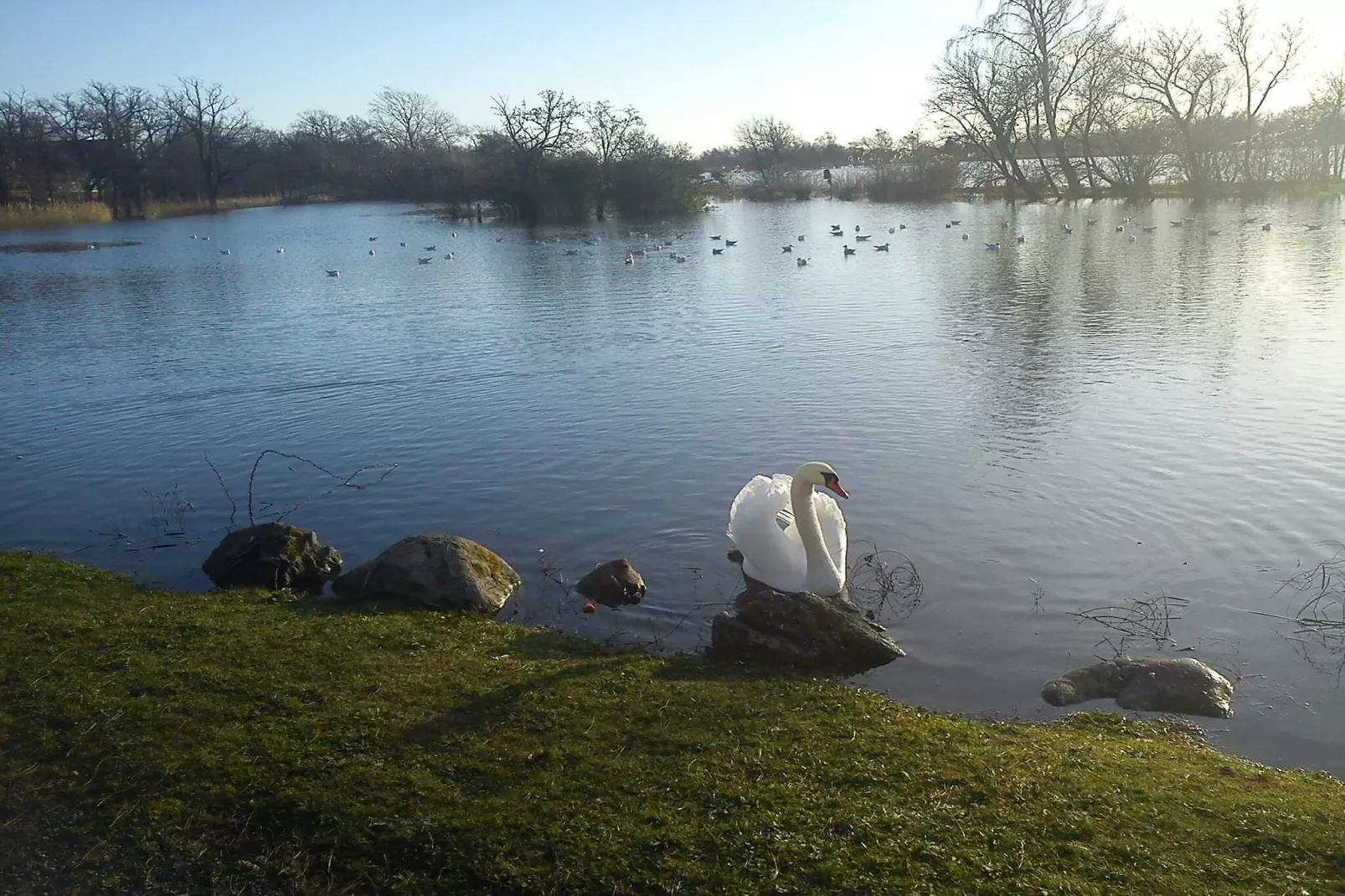 5 Personen vakantie huis in Nakskov-Waterzicht