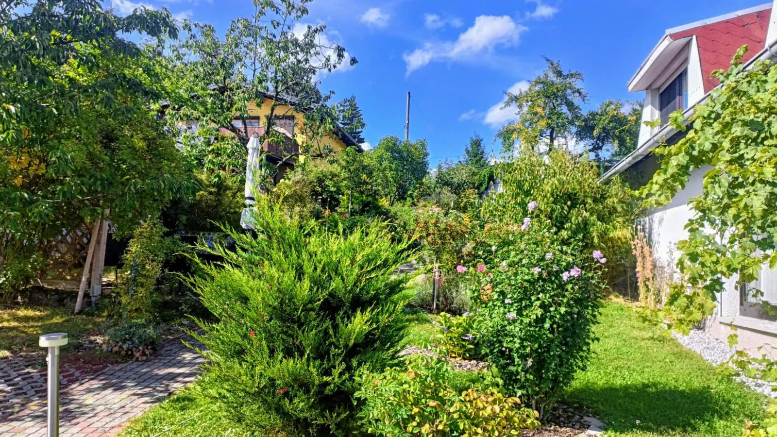 Am Sandberg-Tuinen zomer