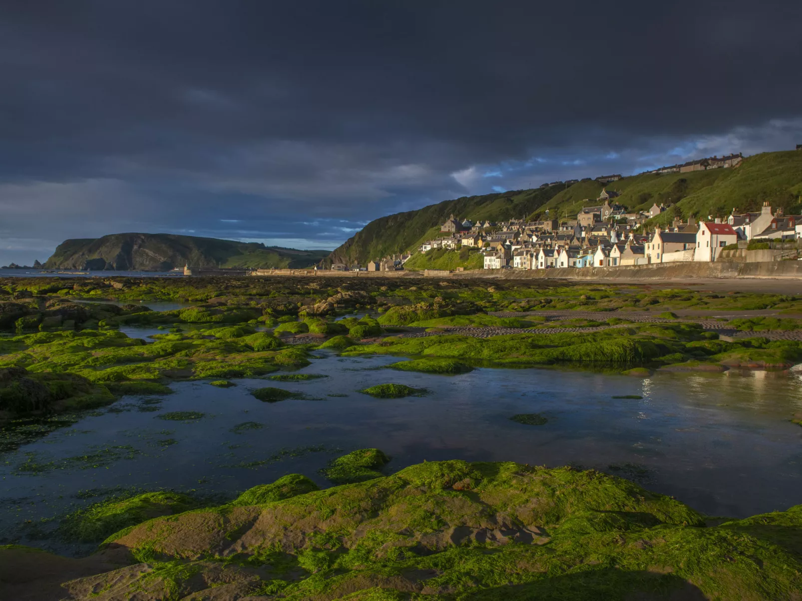 Ellie-Jo Cottage-Buiten