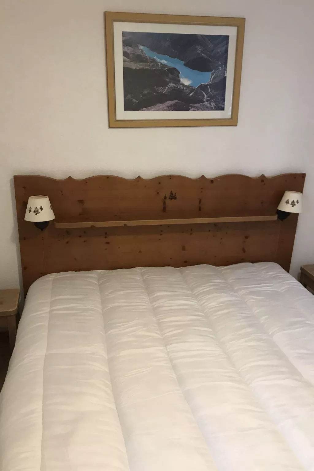 V du Bachat Asters B-Binnen