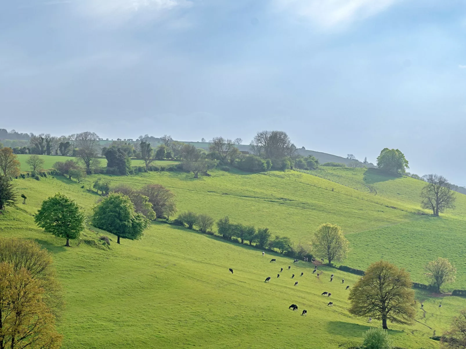 Greenhills Cottage-Buiten