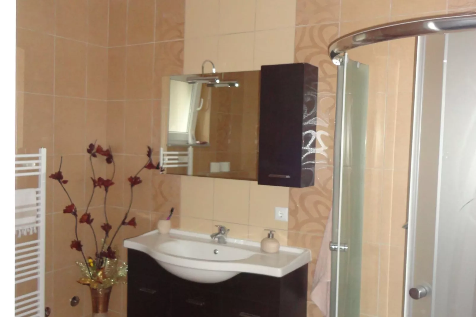 Apartments A&D - One Bedroom Apartment with Terrace and River View (Ana)-Badkamer