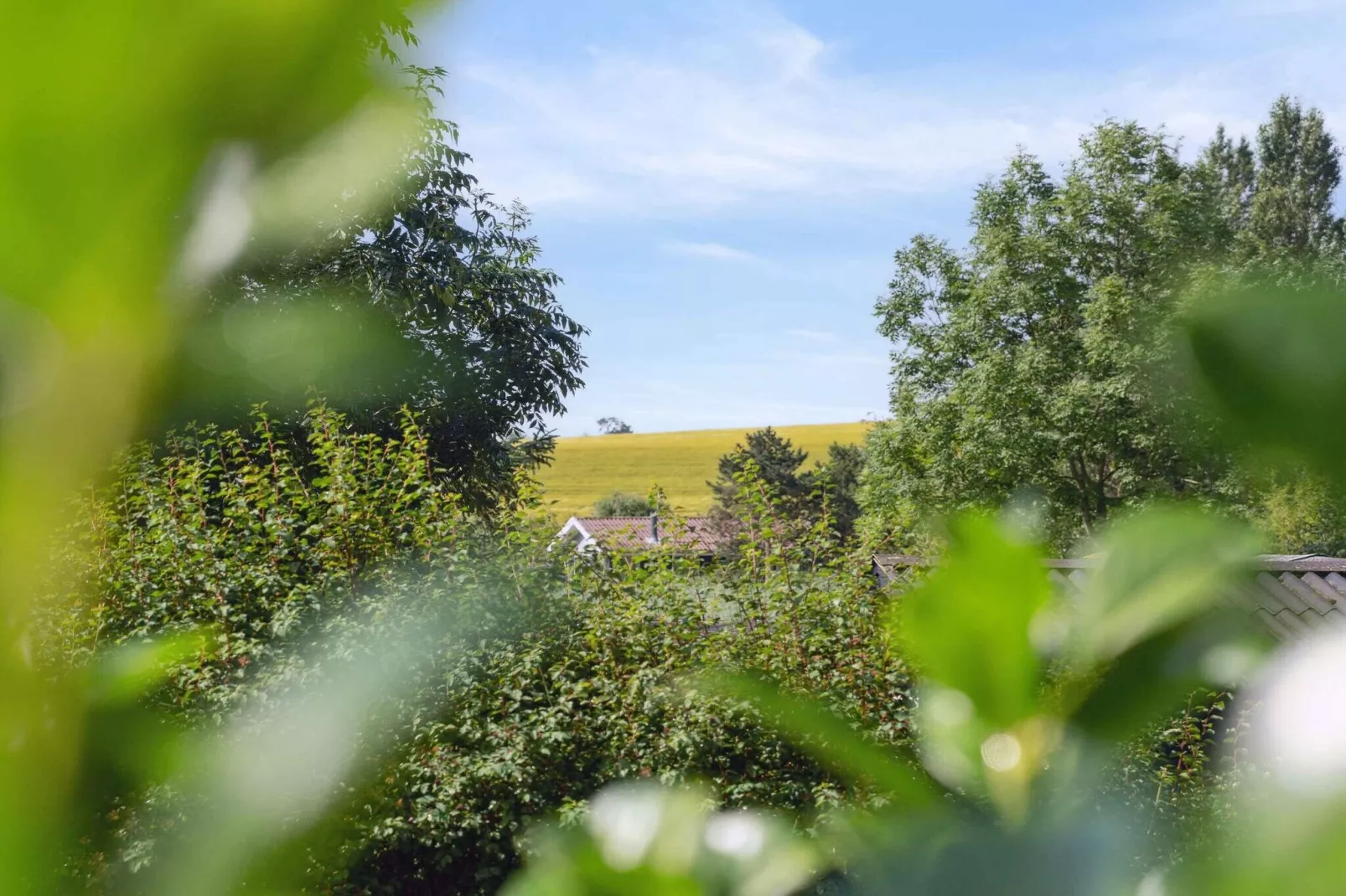 5 sterren vakantie huis in Slagelse-Buitenlucht