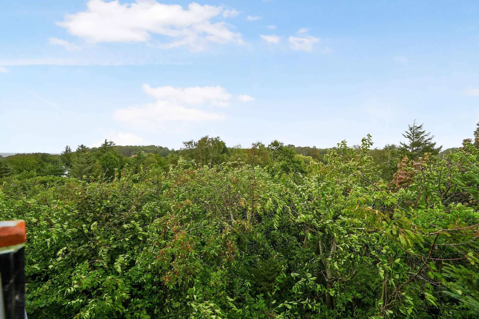 5 sterren vakantie huis in Vejby-Buitenlucht