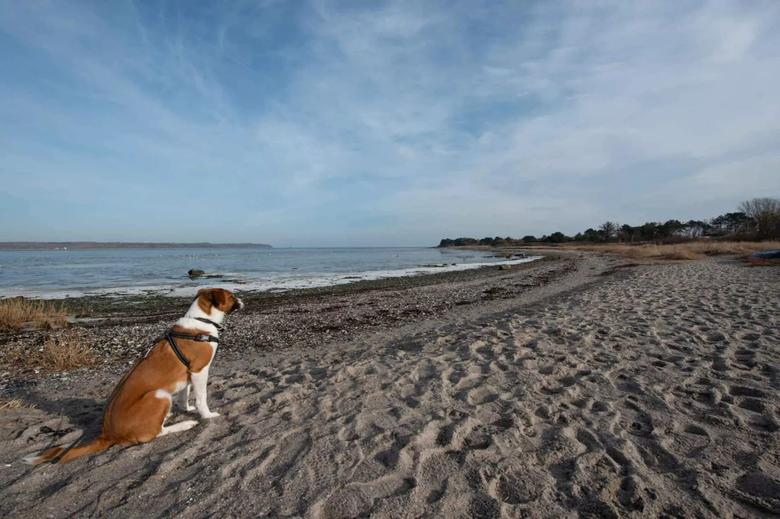 5 sterren vakantie huis in Holbæk