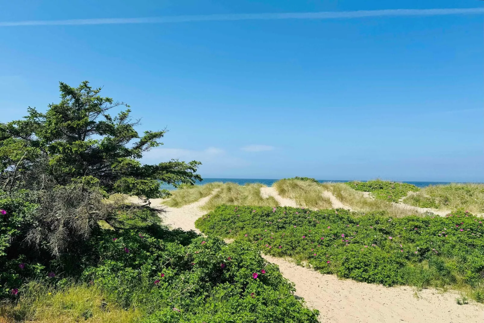 5 sterren vakantie huis in Græsted-Buitenlucht