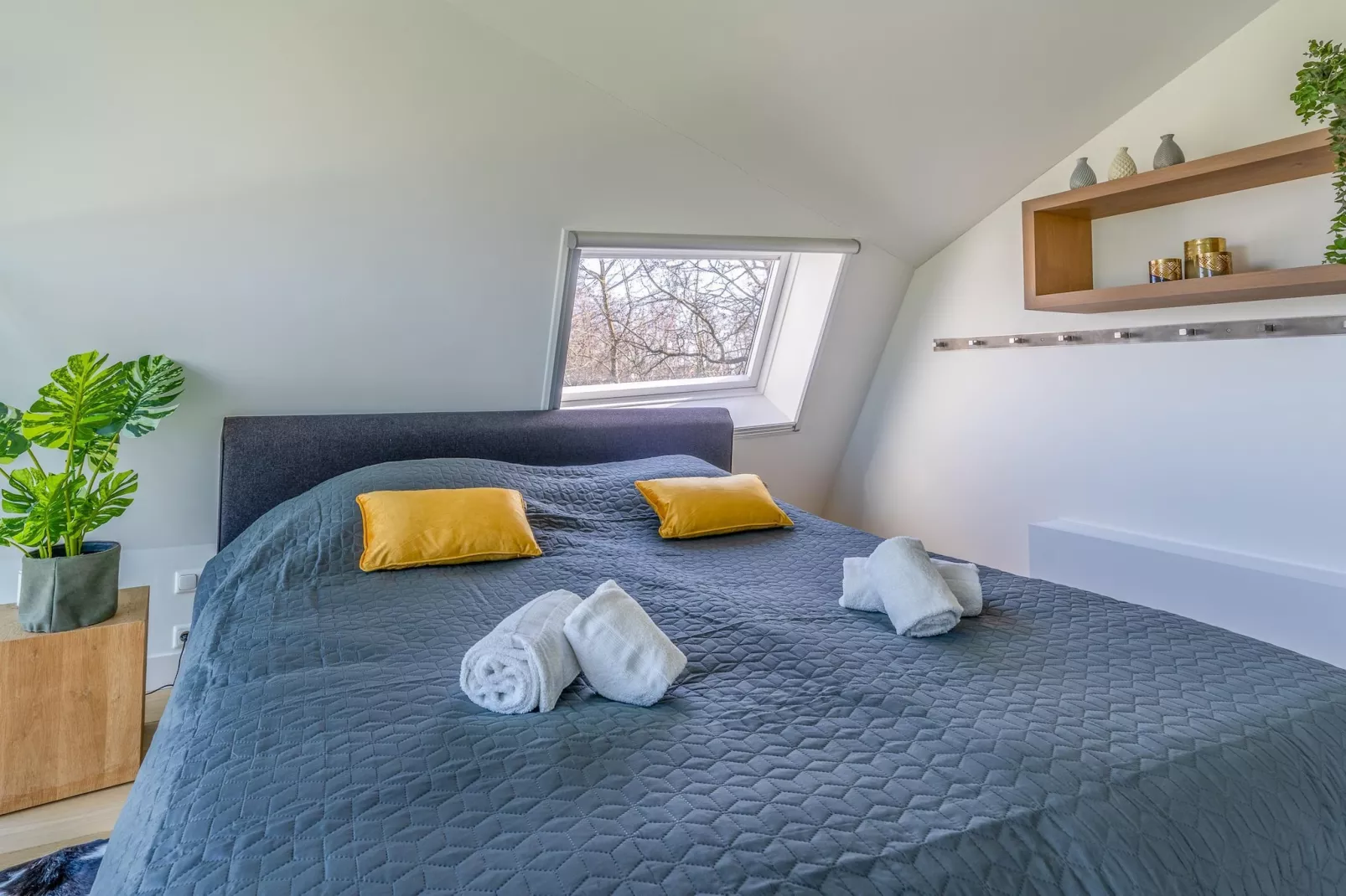 Duynzoom 2-Slaapkamer