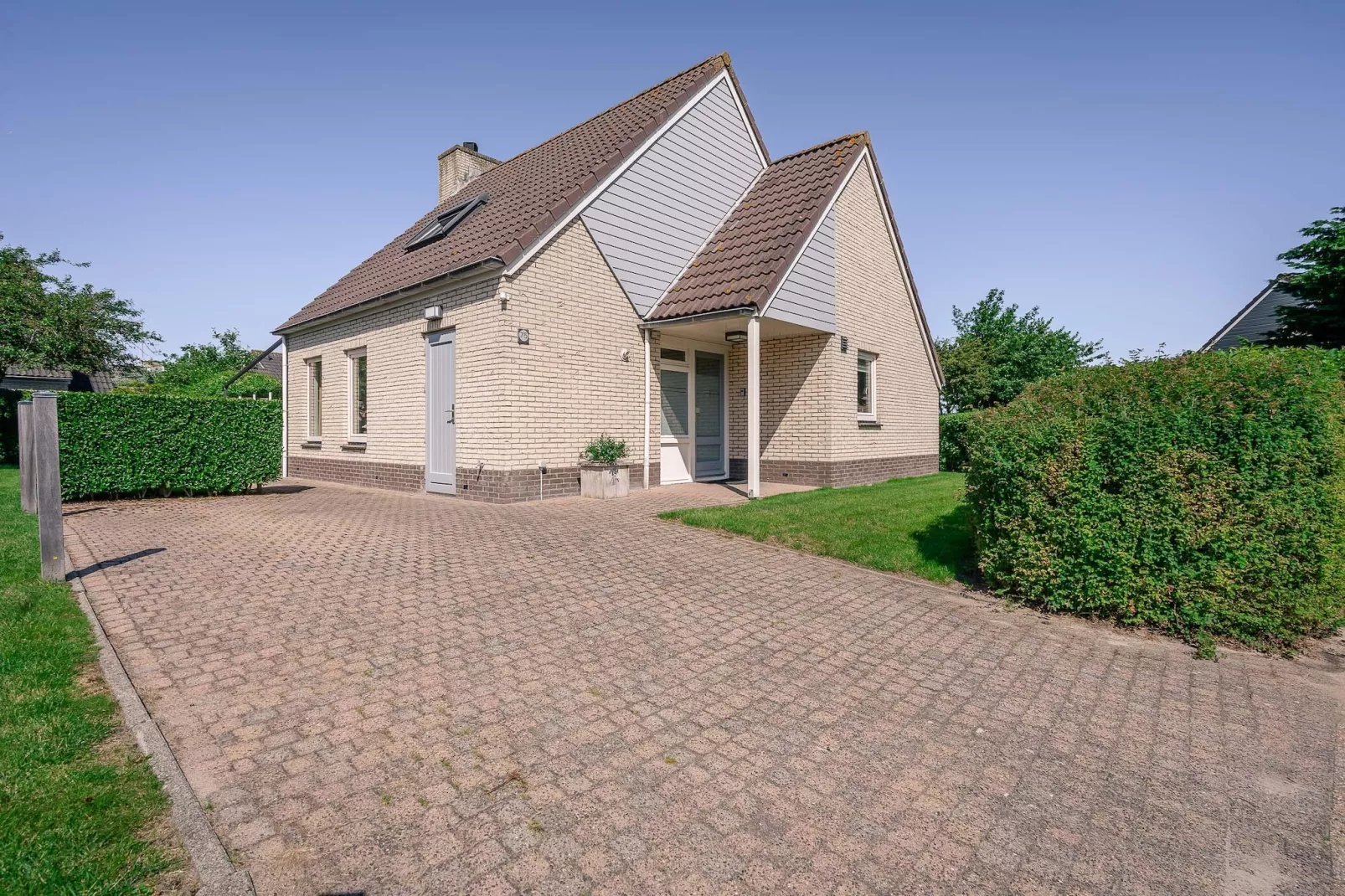 Kamperfoelie 75-Buitenkant zomer