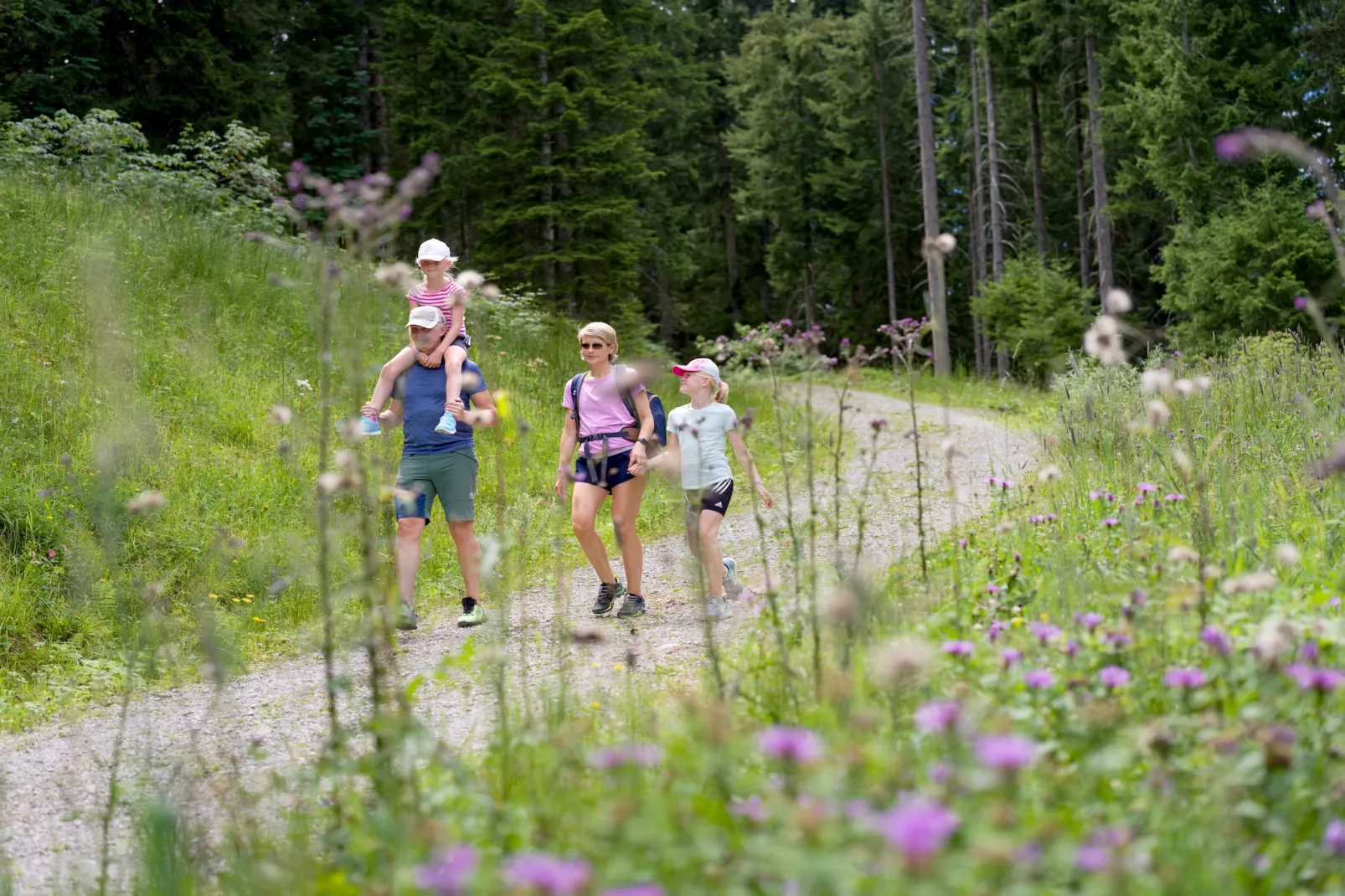 Top 4-Gebieden zomer 5km