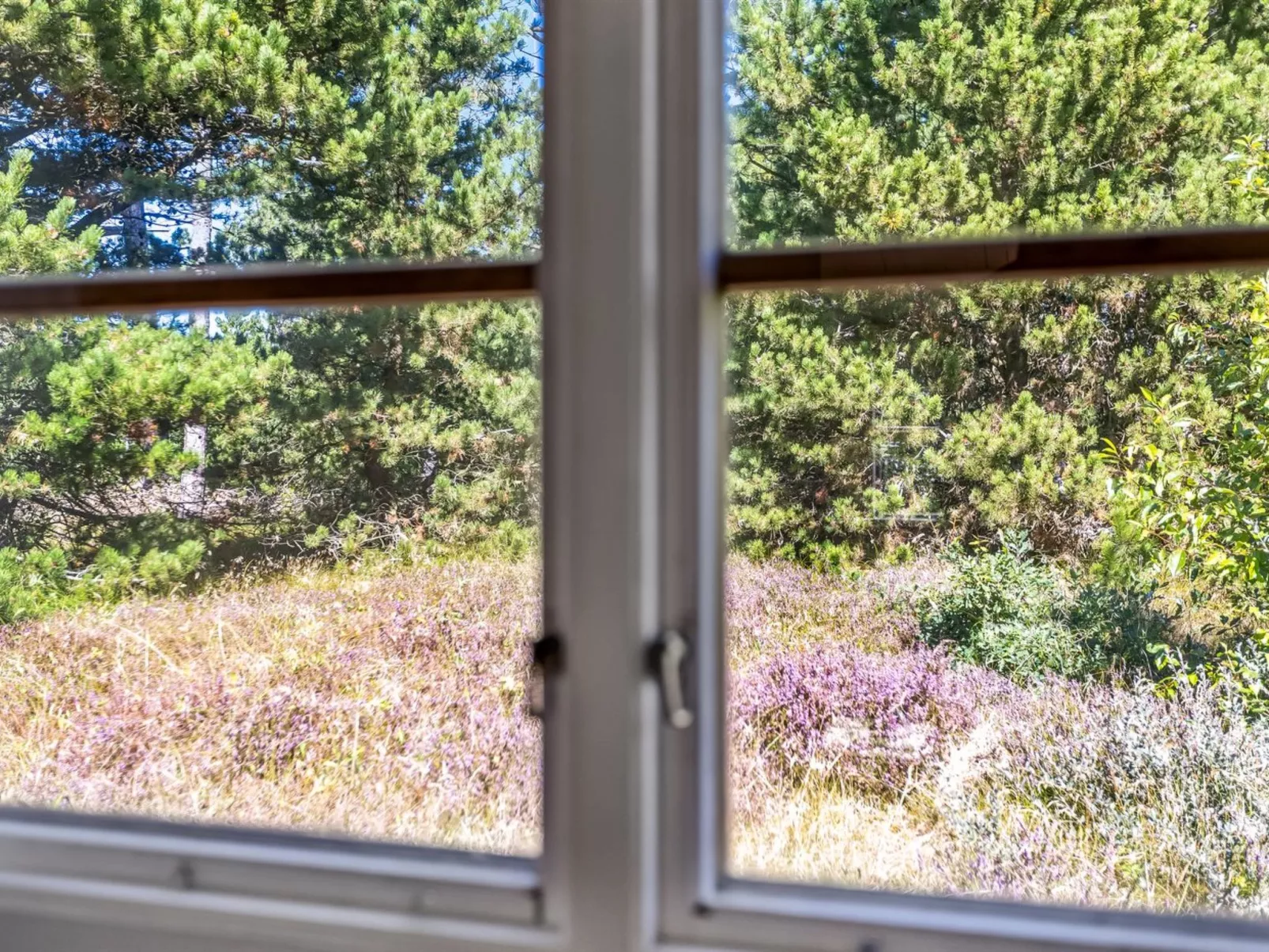 "Reinhardt" - 800m from the sea-Buiten