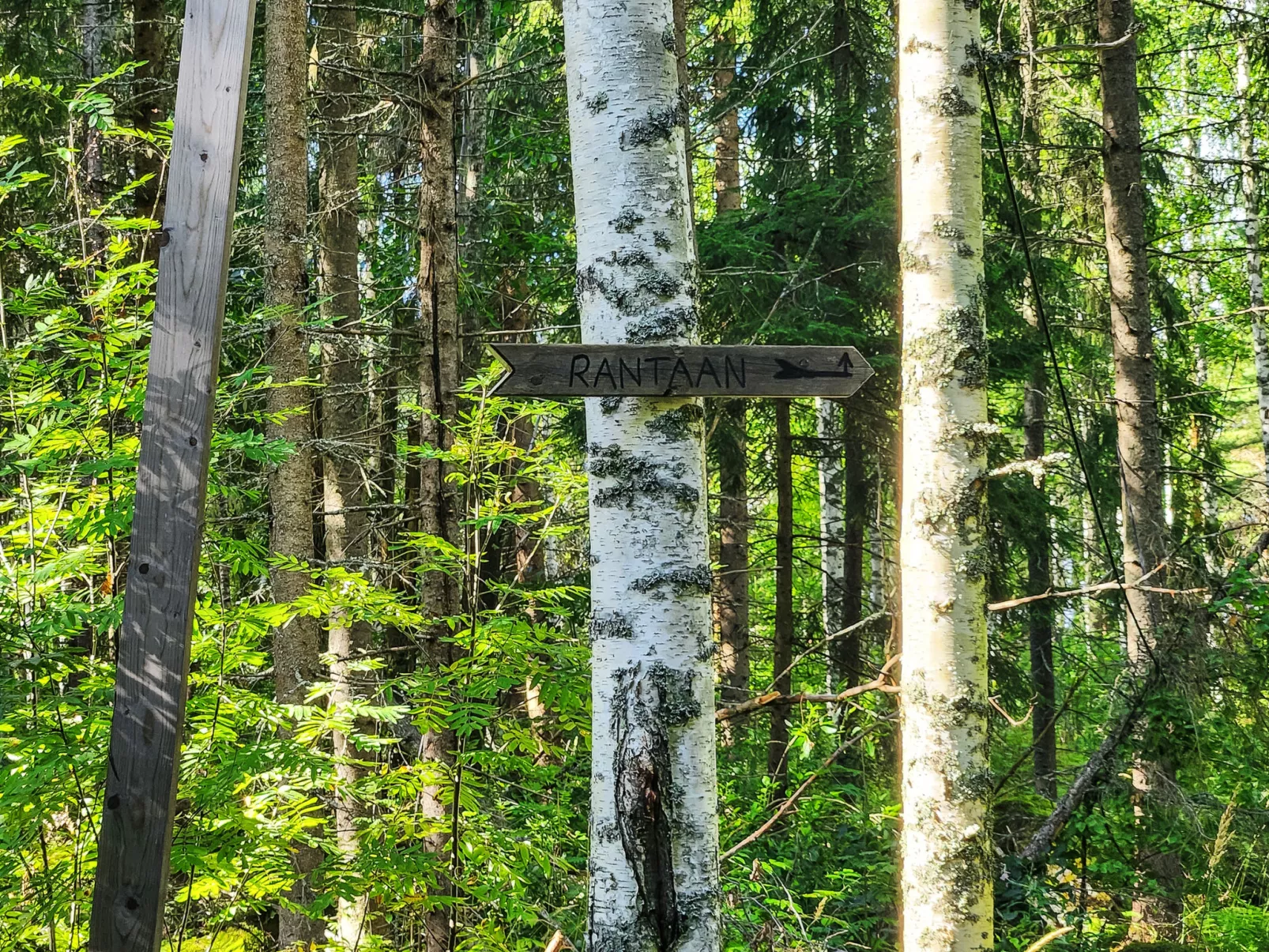 Villa soittoranta-Binnen