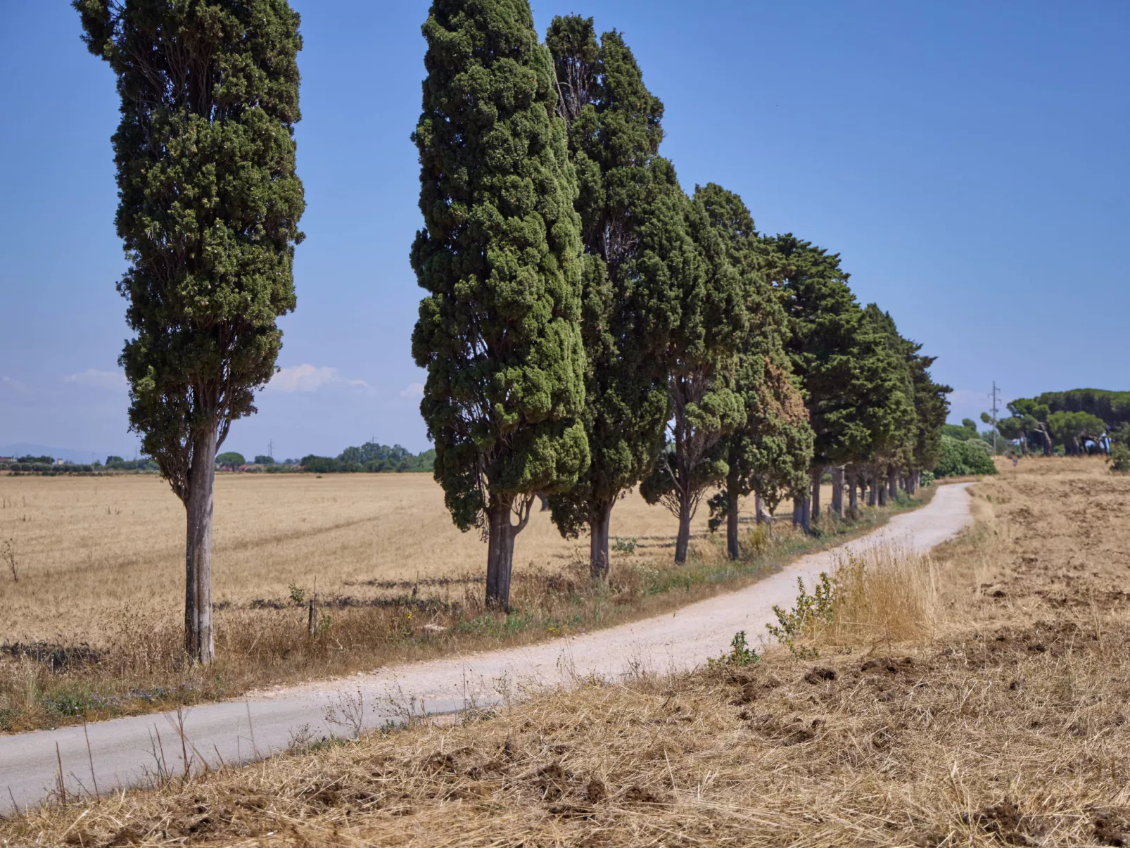 Costa D'Argento-Buiten