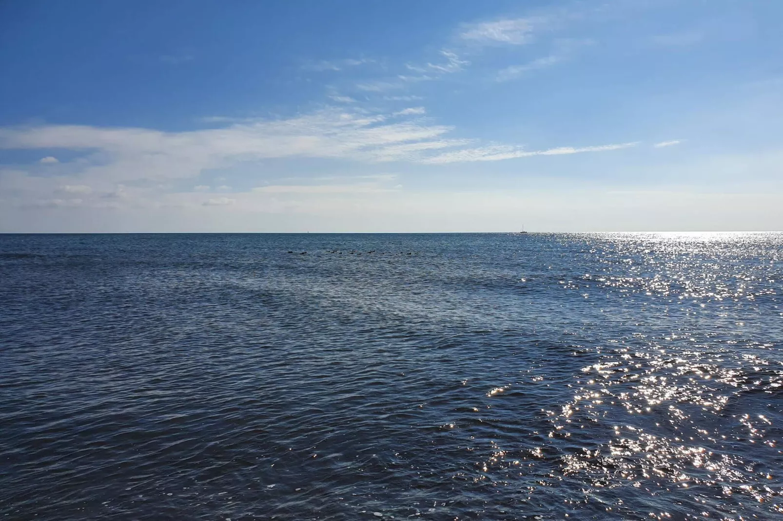 4 persoons vakantie huis in Gedser-Waterzicht