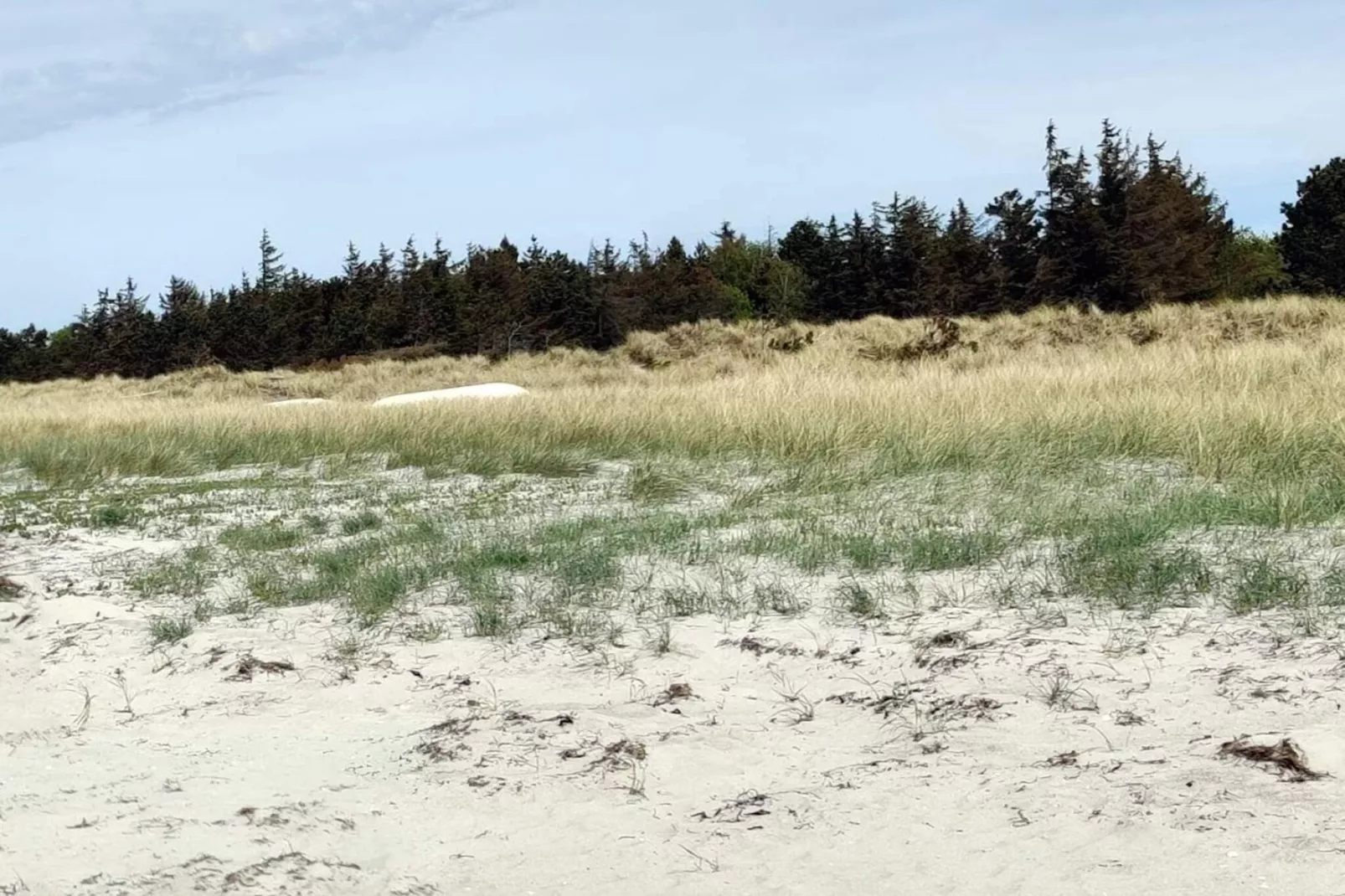 6 persoons vakantie huis in Højby-Waterzicht