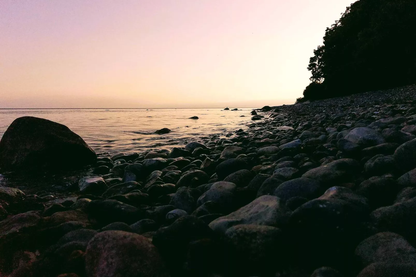 4 persoons vakantie huis in Borre-Waterzicht