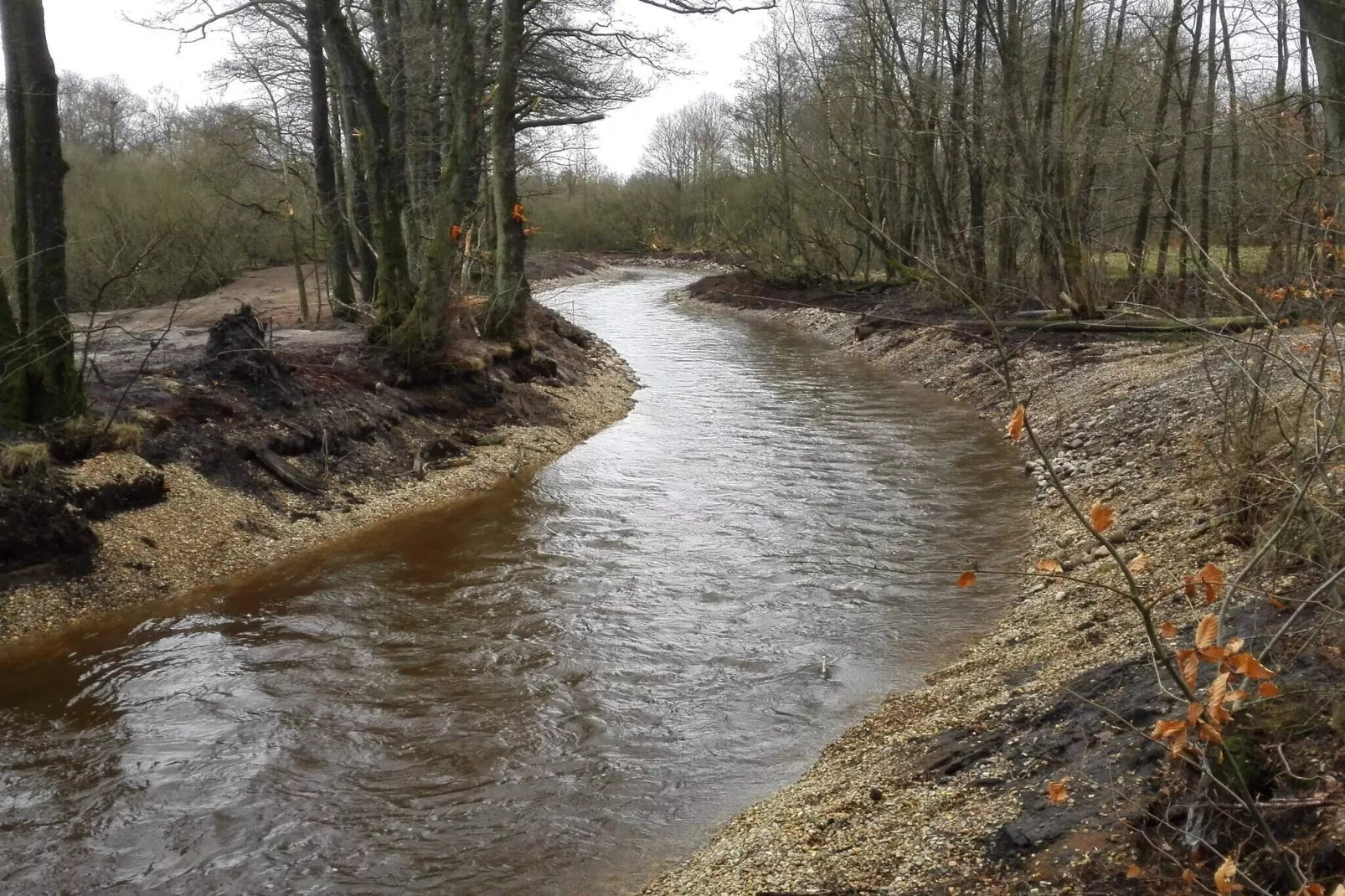 6 persoons vakantie huis in Ansager-Waterzicht