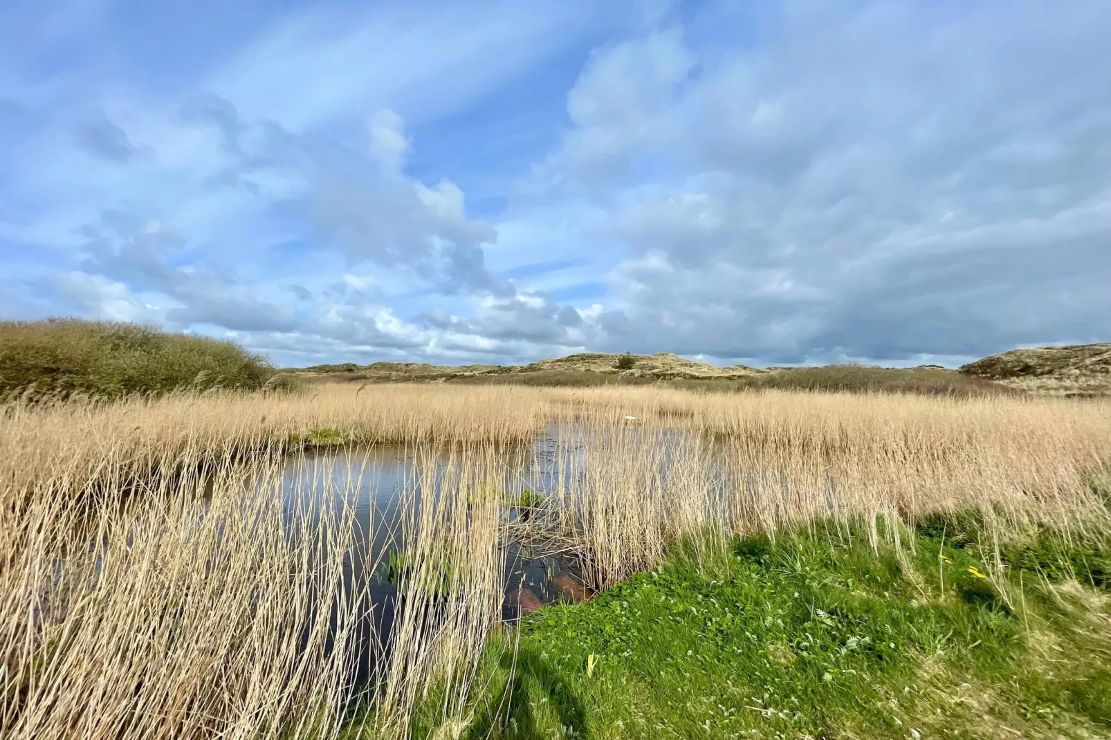 6 persoons vakantie huis in Nørre Nebel-Waterzicht