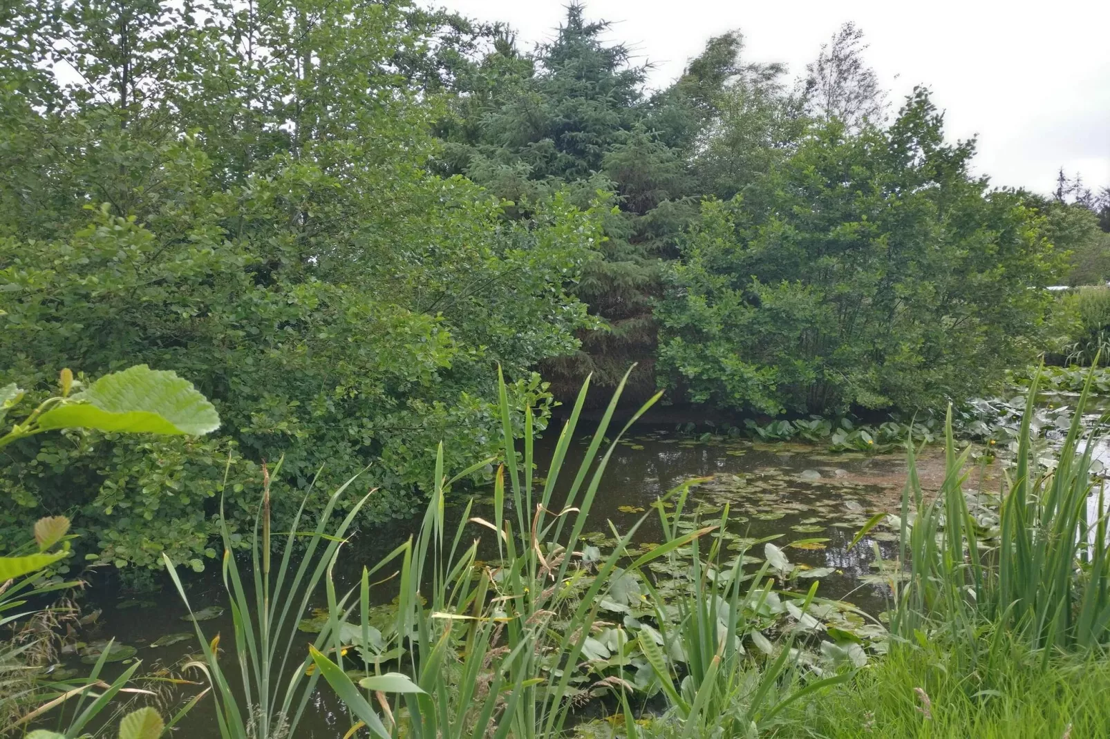 4 persoons vakantie huis in Nørre Nebel-Waterzicht