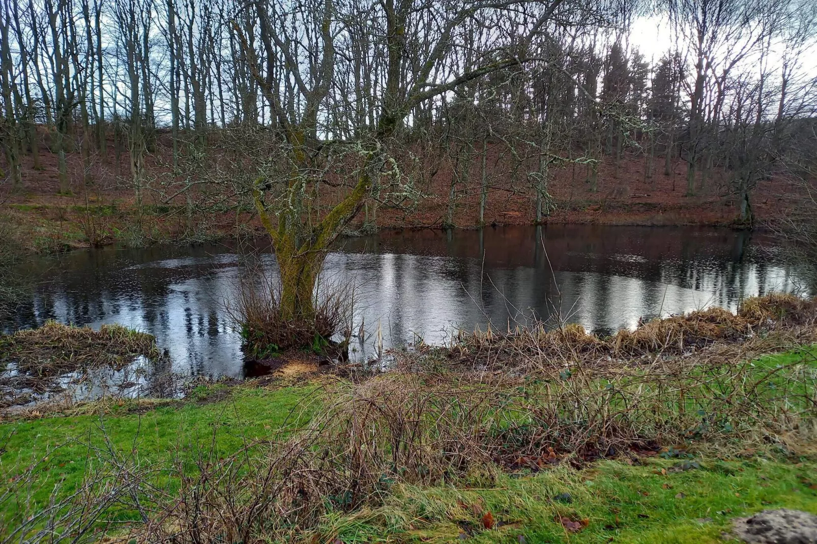 8 persoons vakantie huis in Ebeltoft-Waterzicht