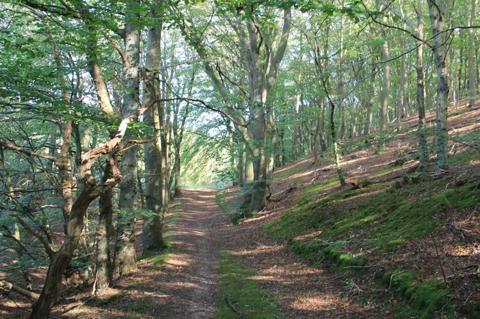 6 persoons vakantie huis in Ebeltoft-Niet-getagd